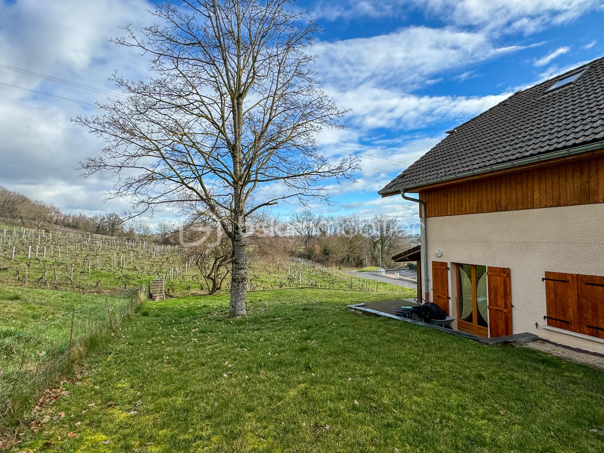 3 - Jardin 2.jpg