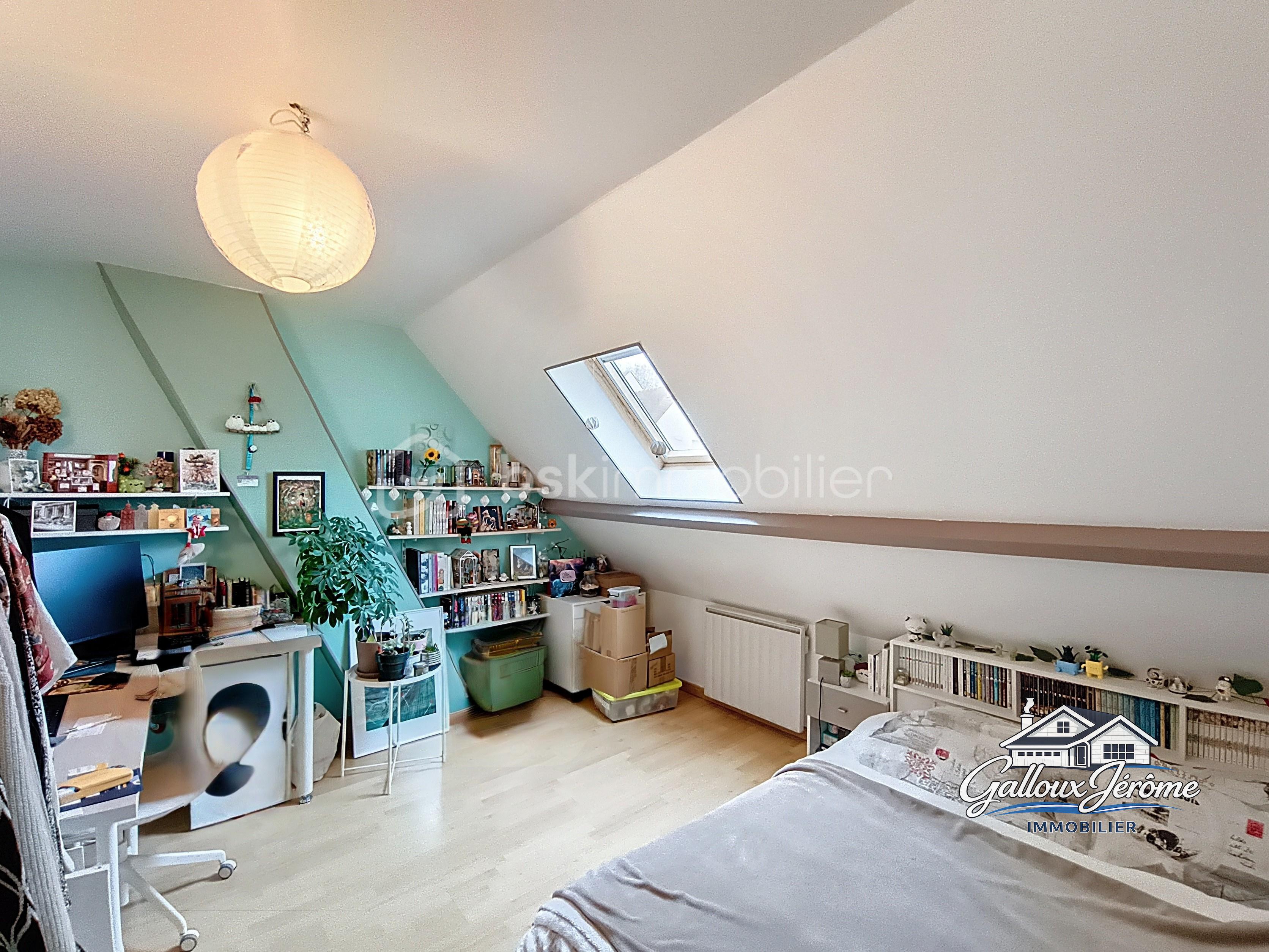 cottard_00001 (1).jpg