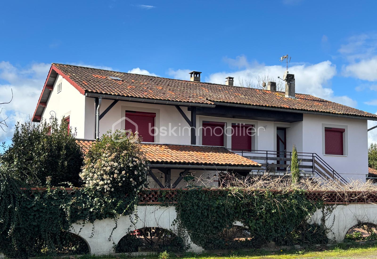 WhatsApp Image 2026-02-25 at 15.43.19.jpeg