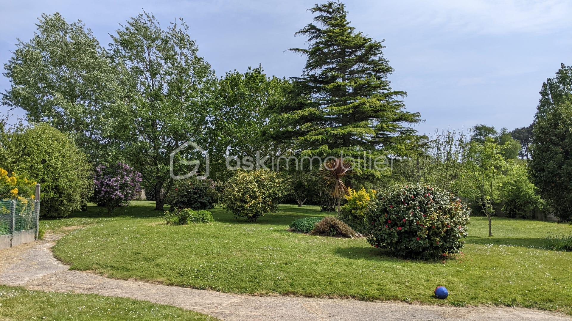 jardin.jpg