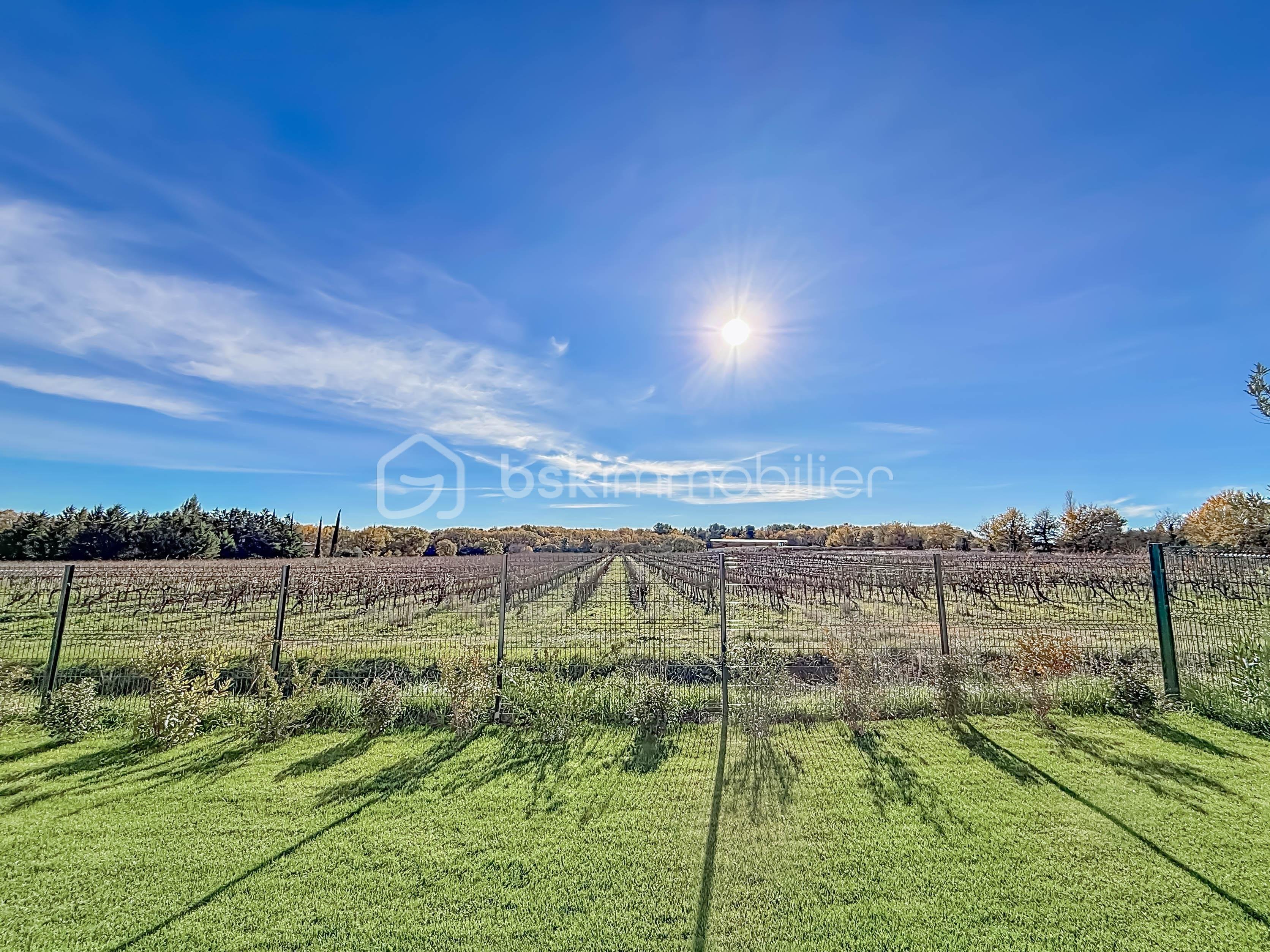 Maison contemporaine de 130 m² - photo-1764587351.JPG