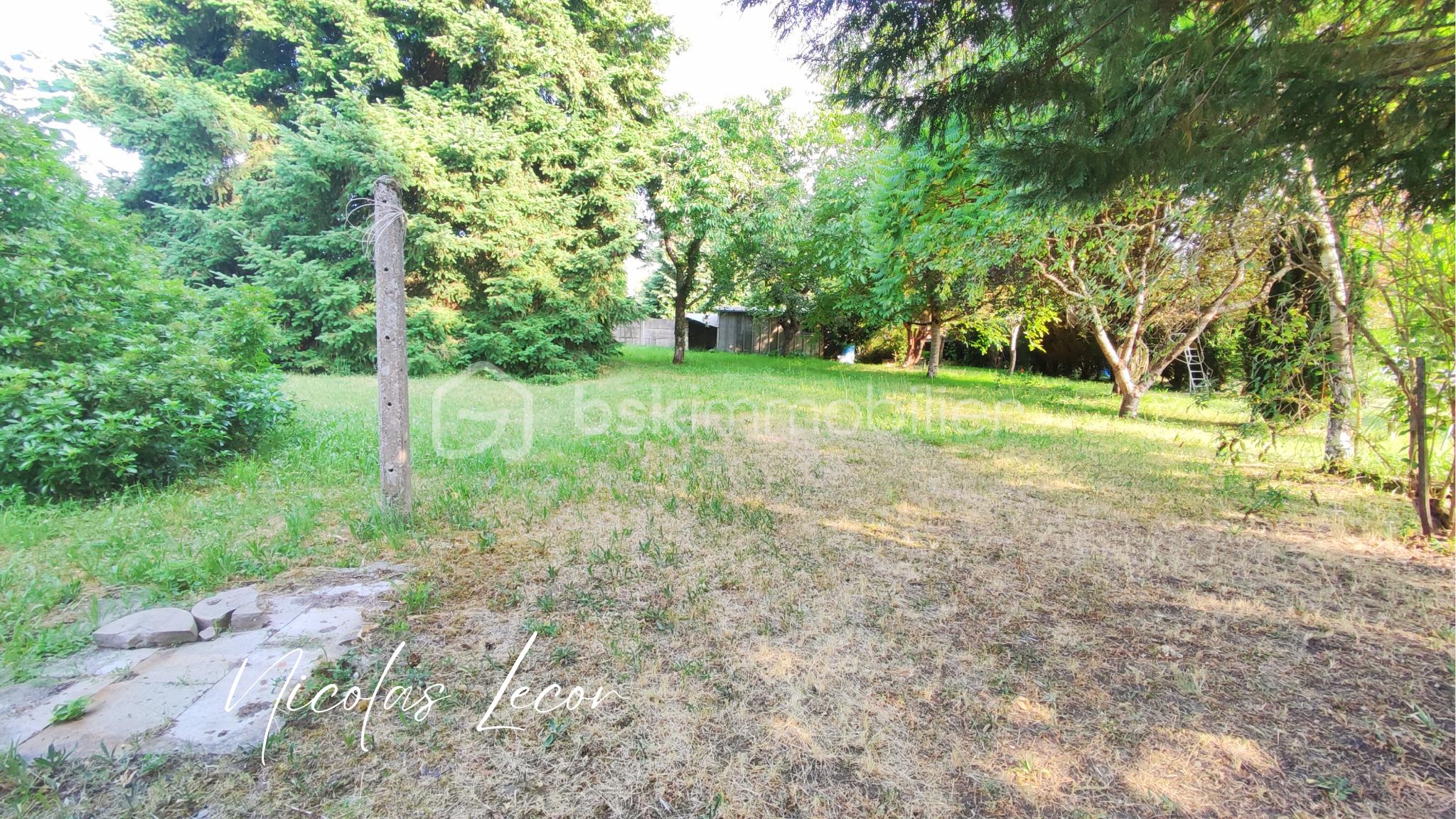 Nicolas Lecor (28).png