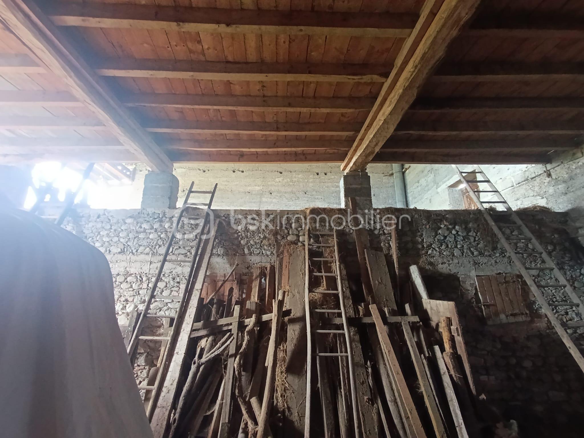 WhatsApp Image 2026-04-22 at 22.16.03 (2).jpeg