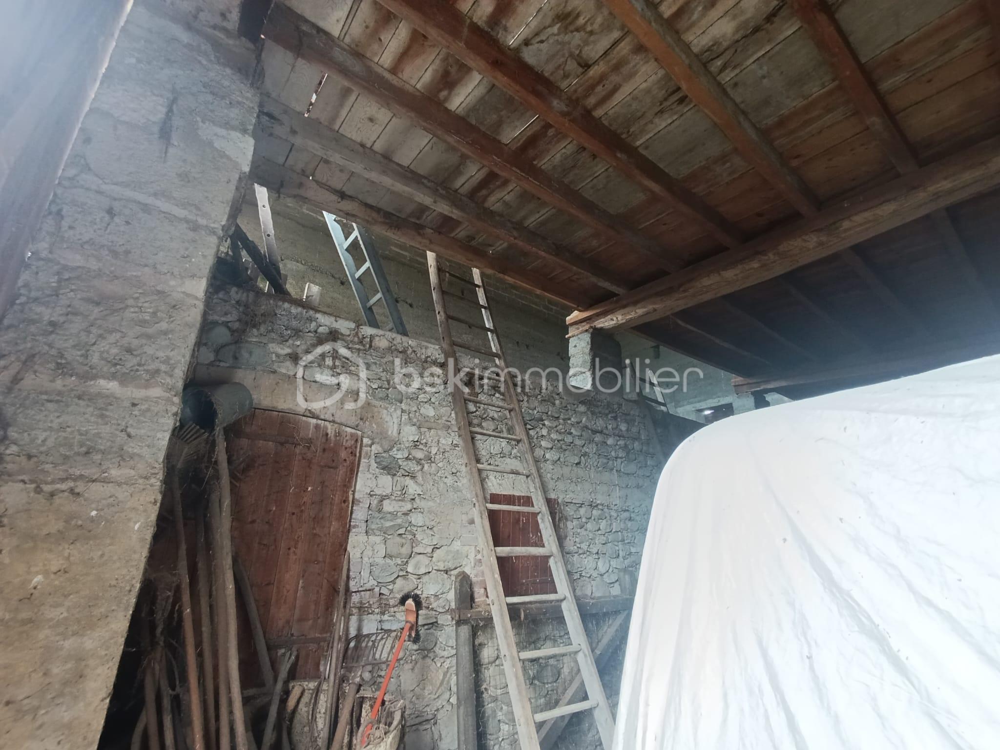 WhatsApp Image 2026-04-22 at 22.16.04 (1).jpeg