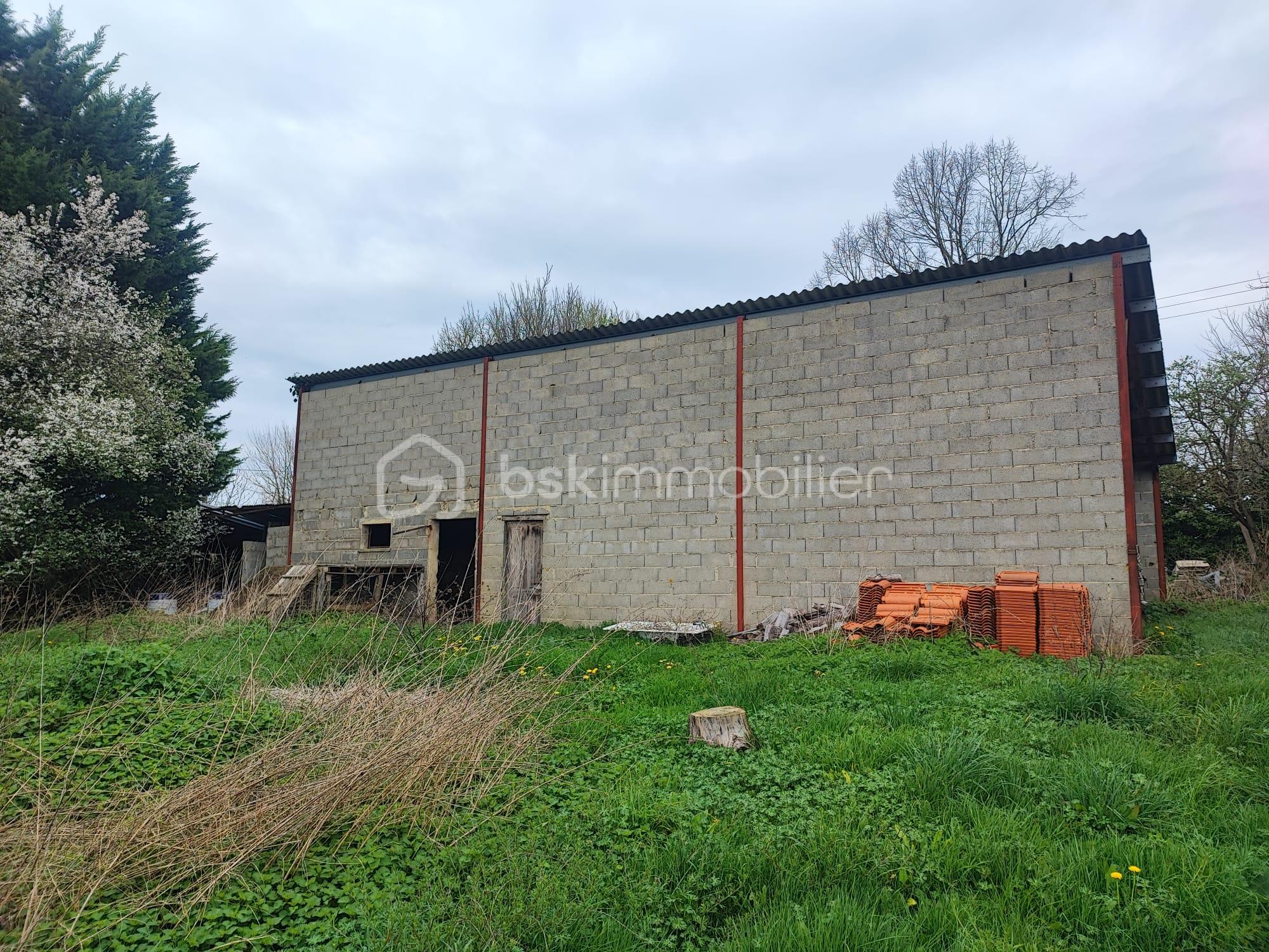 WhatsApp Image 2026-03-07 at 16.55.39.jpeg