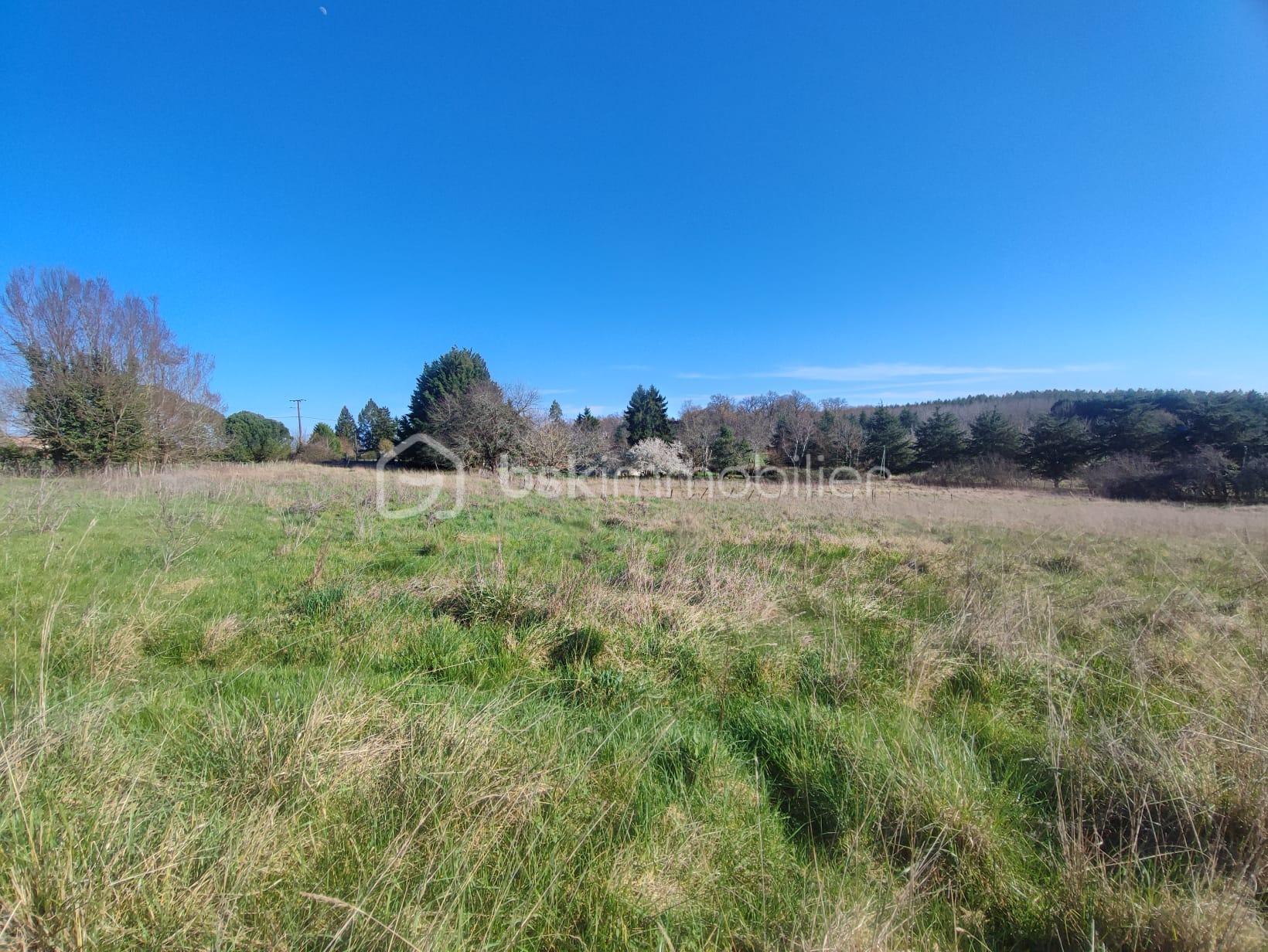 WhatsApp Image 2026-03-07 at 16.55.39(5).jpeg