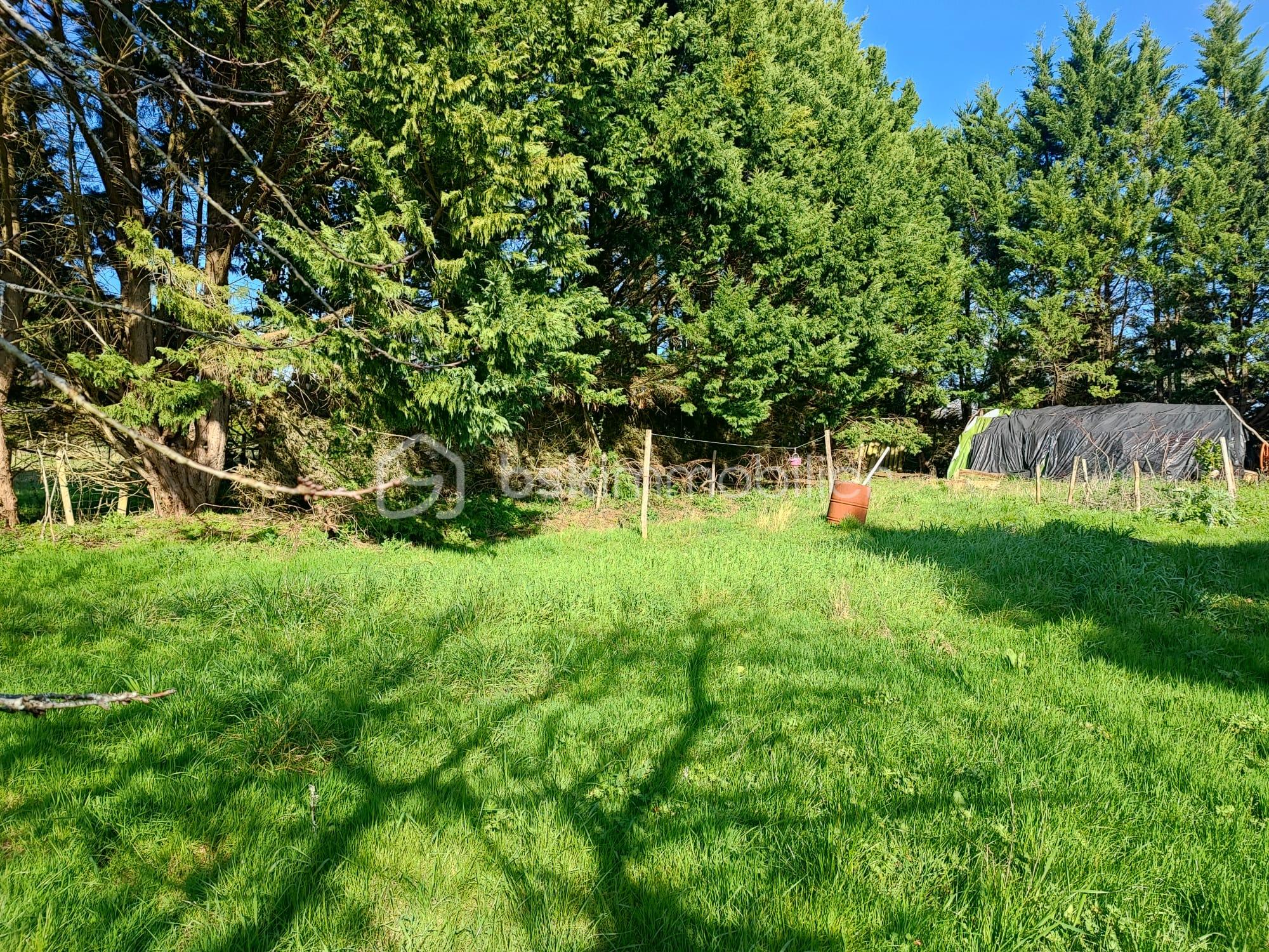 WhatsApp Image 2026-03-07 at 16.55.42(1).jpeg