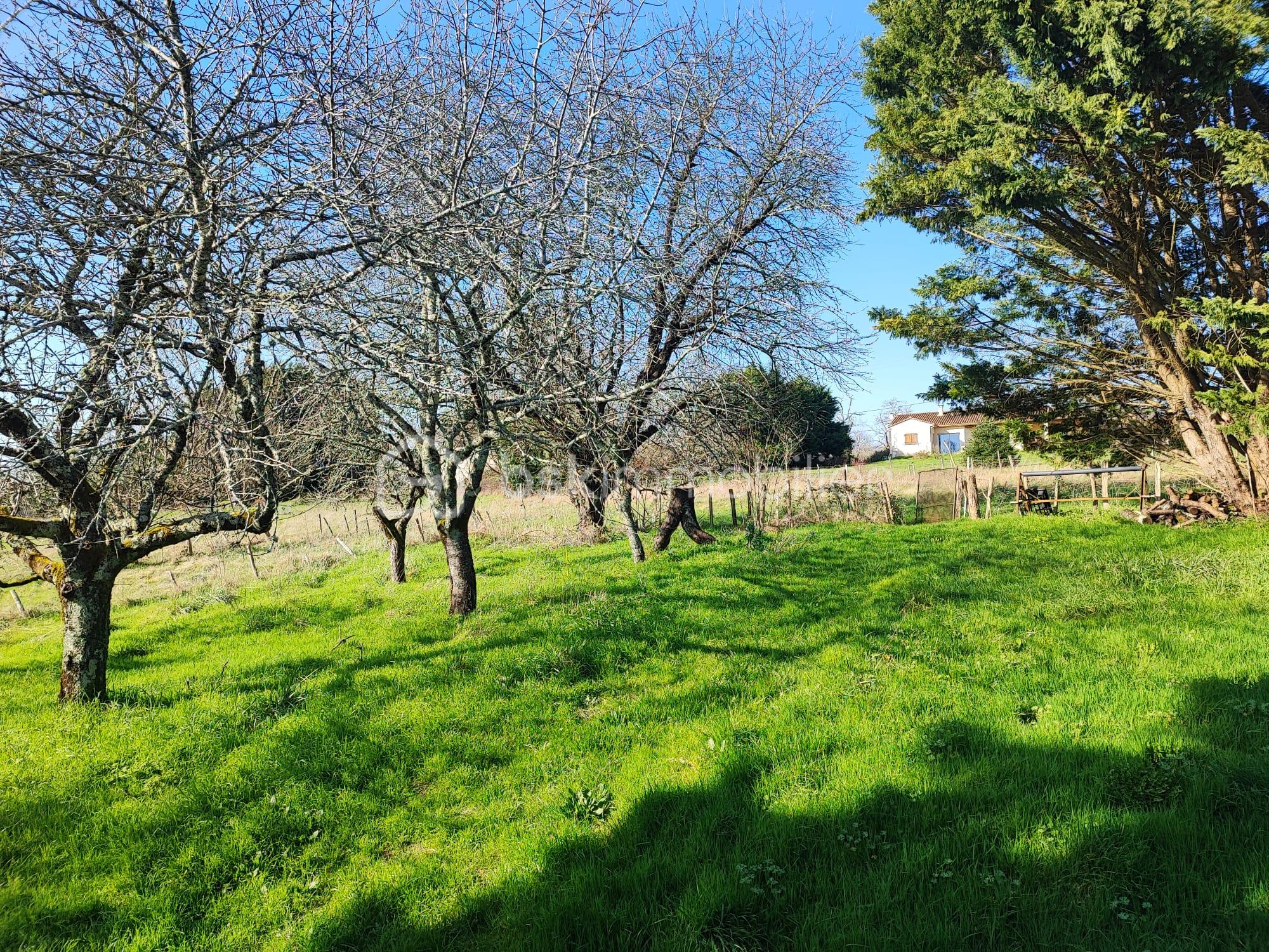 WhatsApp Image 2026-03-07 at 16.55.45(3).jpeg