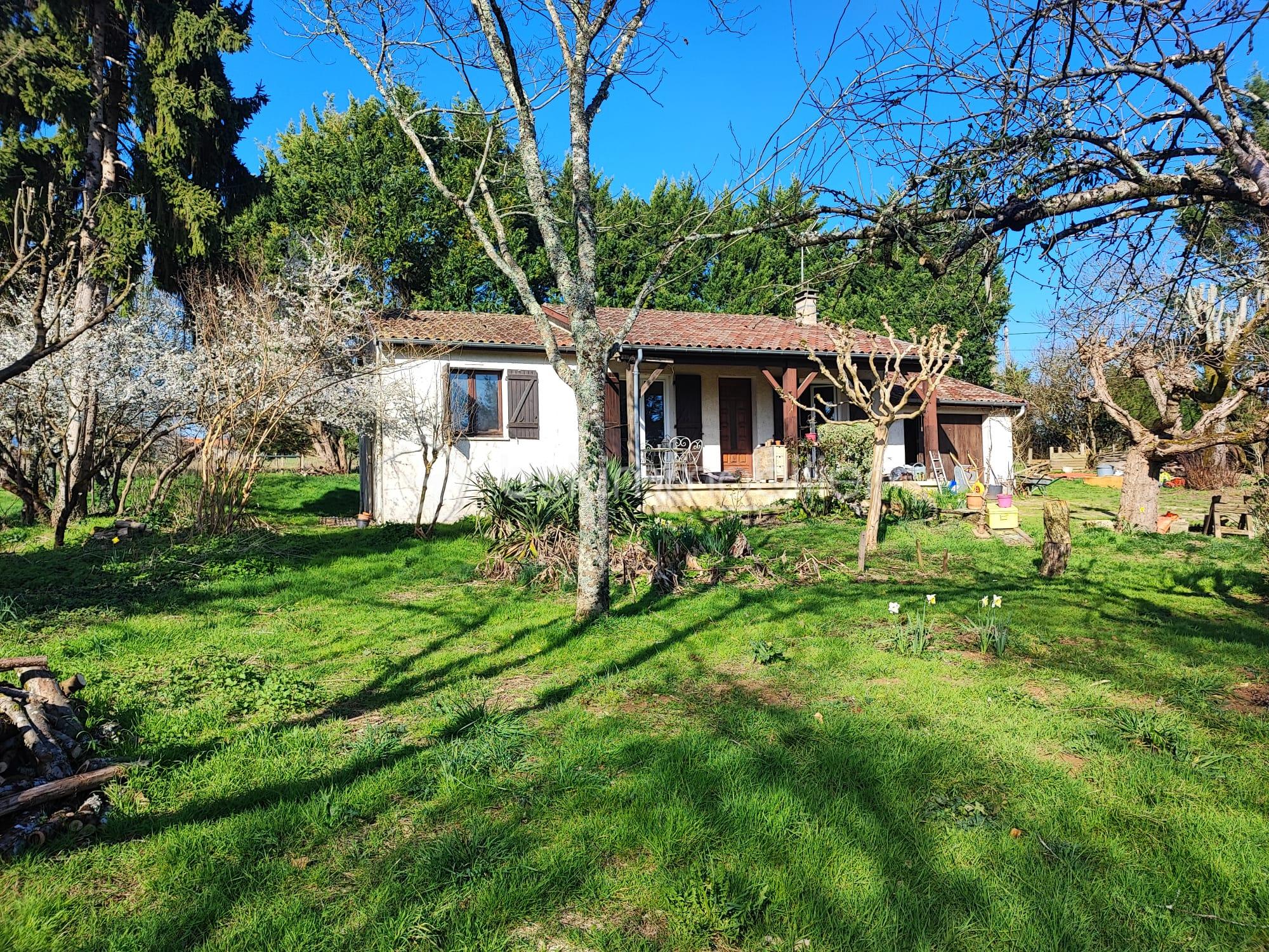 WhatsApp Image 2026-03-07 at 16.55.45.jpeg