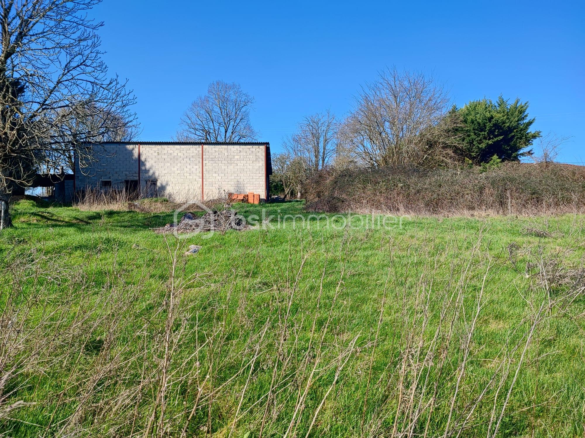 WhatsApp Image 2026-03-07 at 16.55.41.jpeg