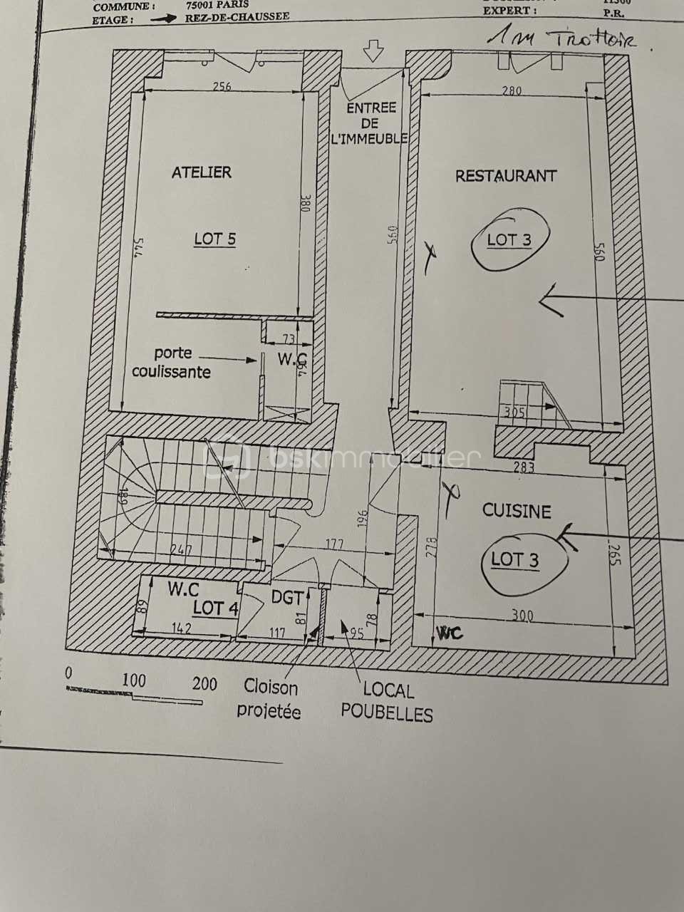 Local d activites de 83,10 m² - Plan lot 3 RDC.jpg