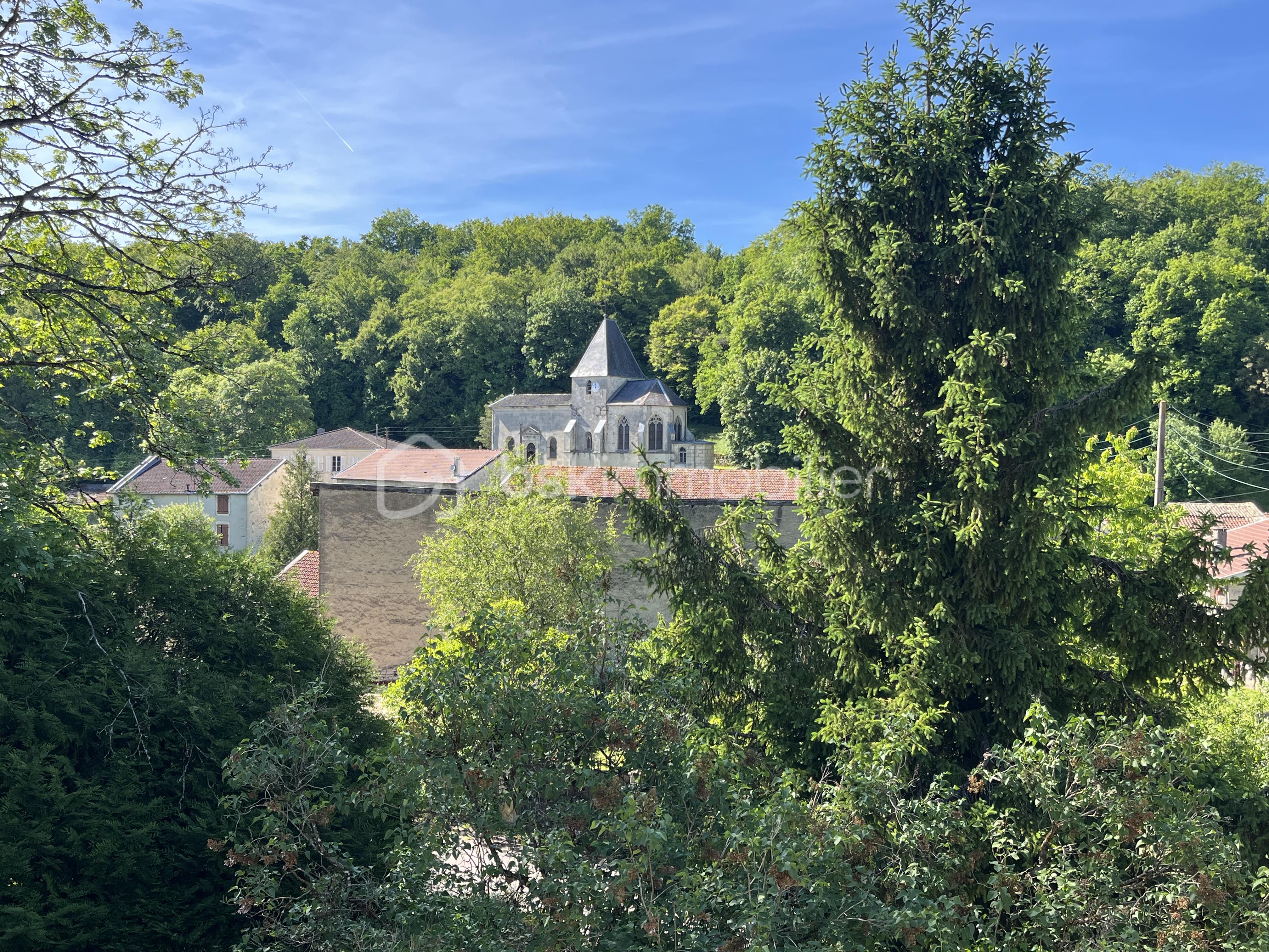 IMG_4133.jpeg