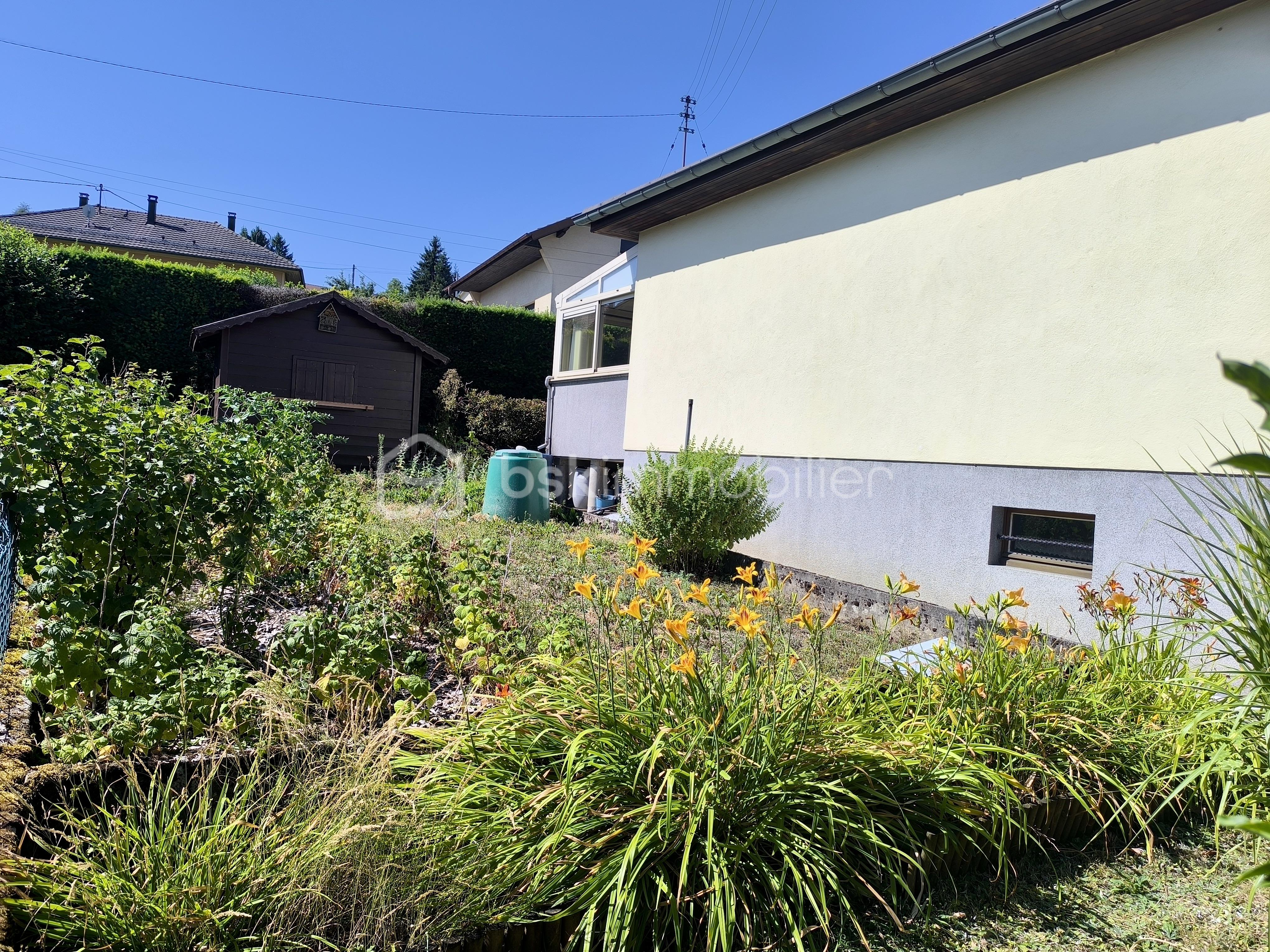 09BD5220-AE4D-4EA8-B3C6-A79A2FD67C48_1_201_a.jpeg