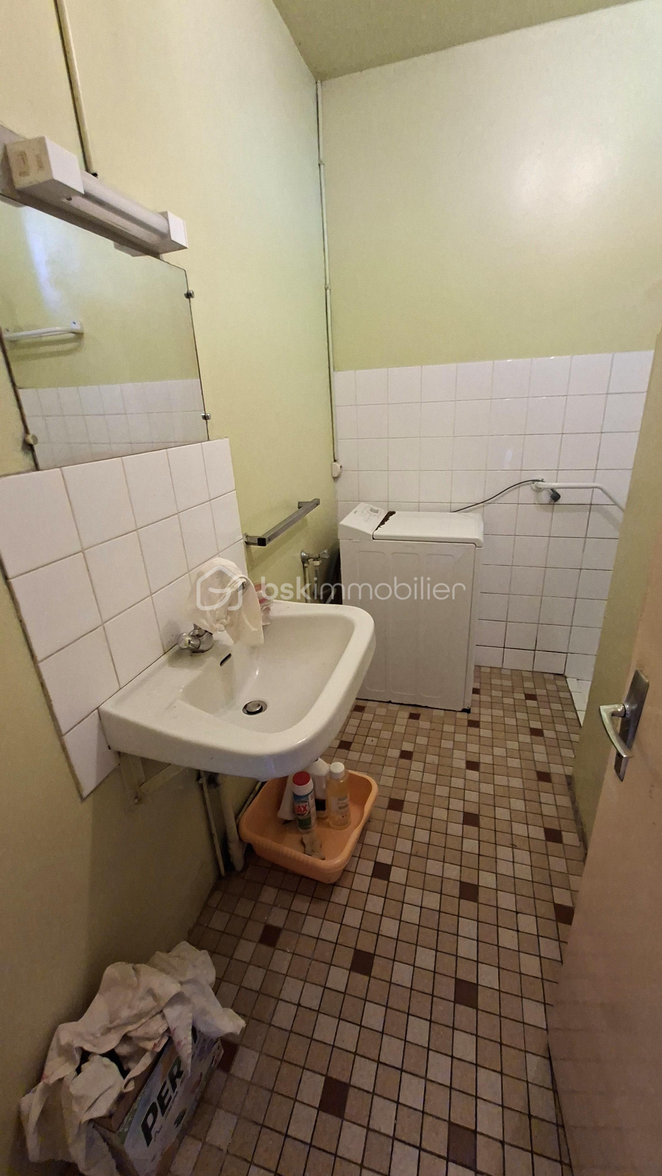 LELOUTRE SALLE D'EAU LAVABO.jpg
