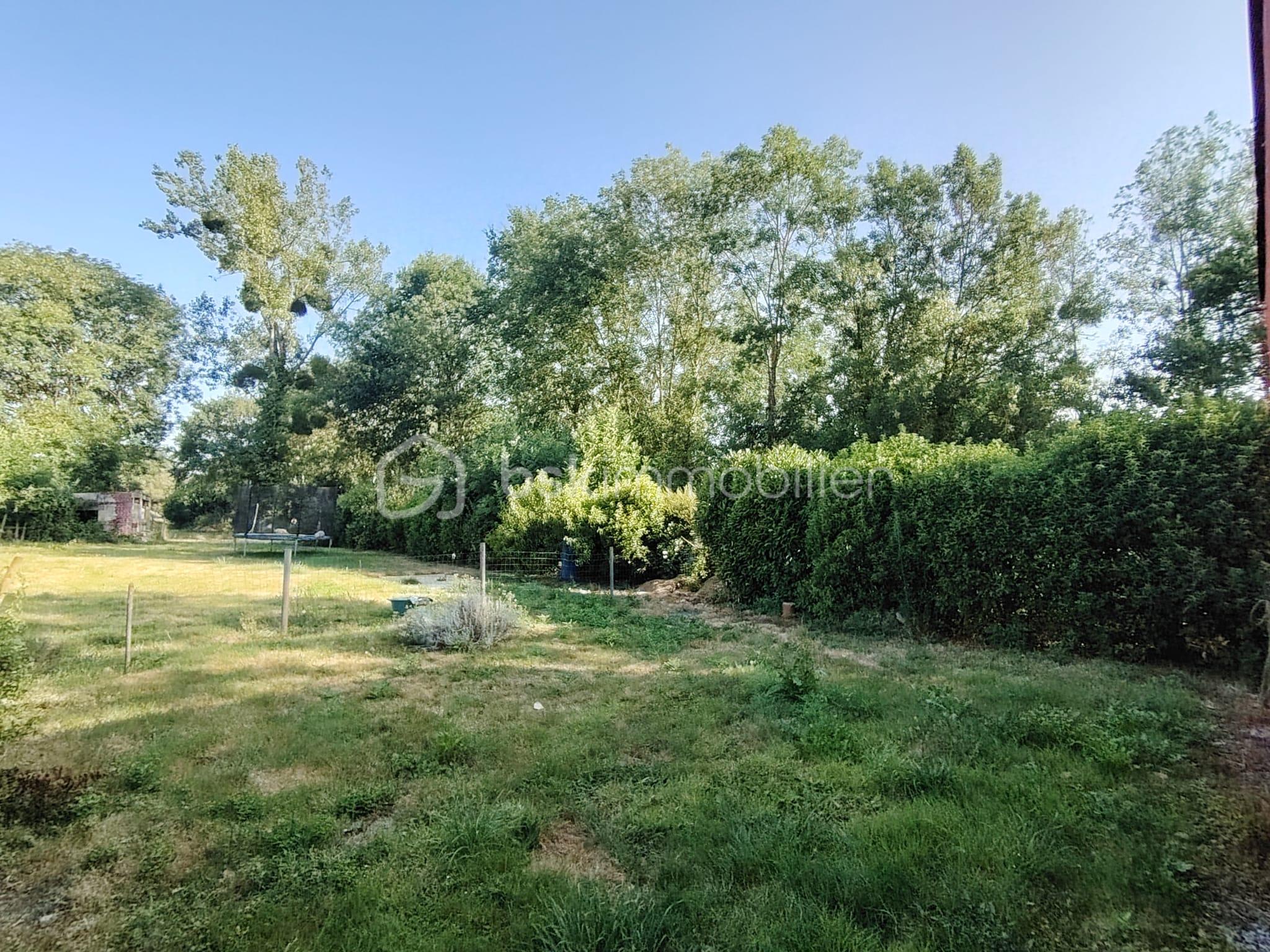 terrain.jpeg