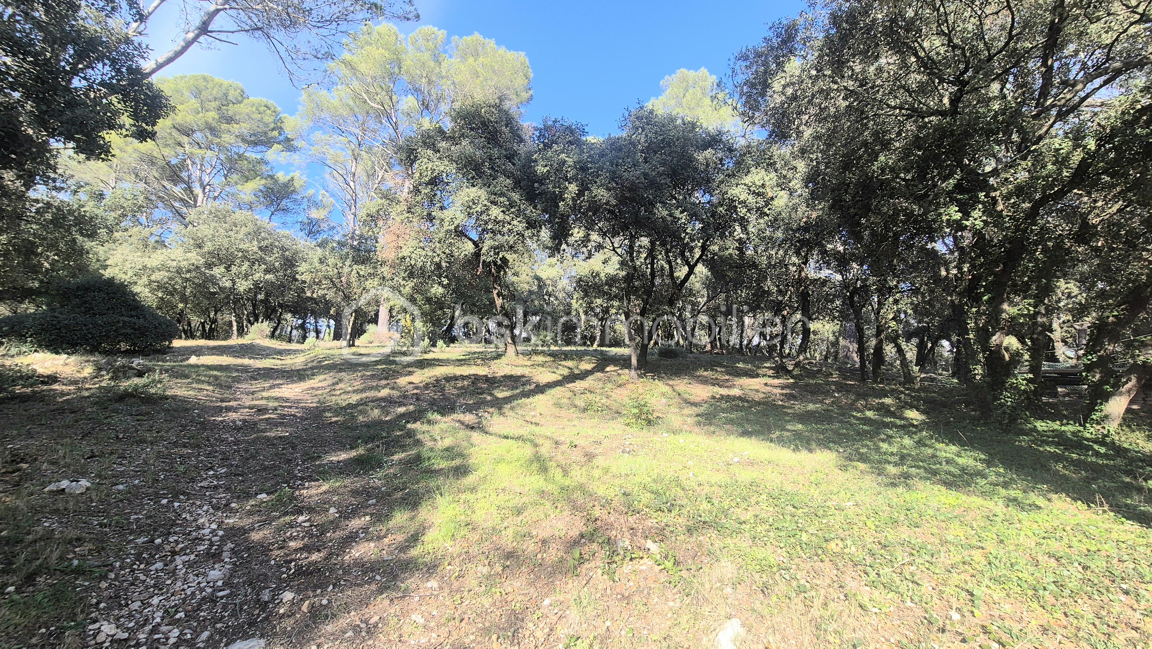 Bastide de 297 m² - 20251110_143540.jpg