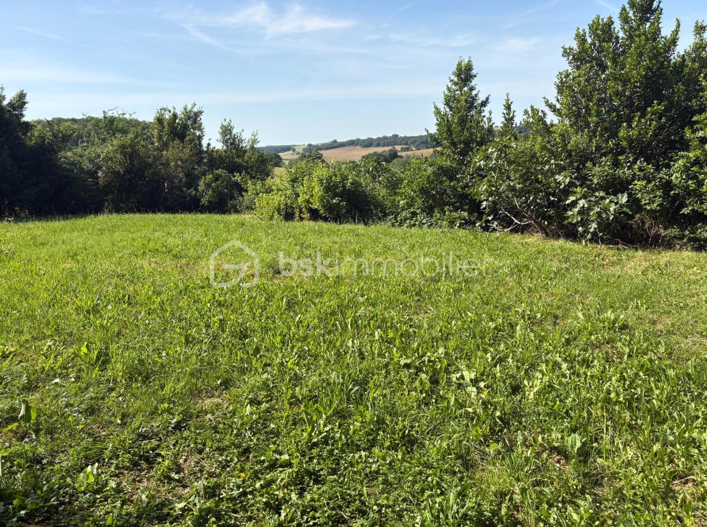 jardin.jpg