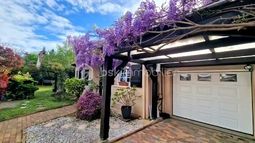 liloo-downloaderVYfHrY