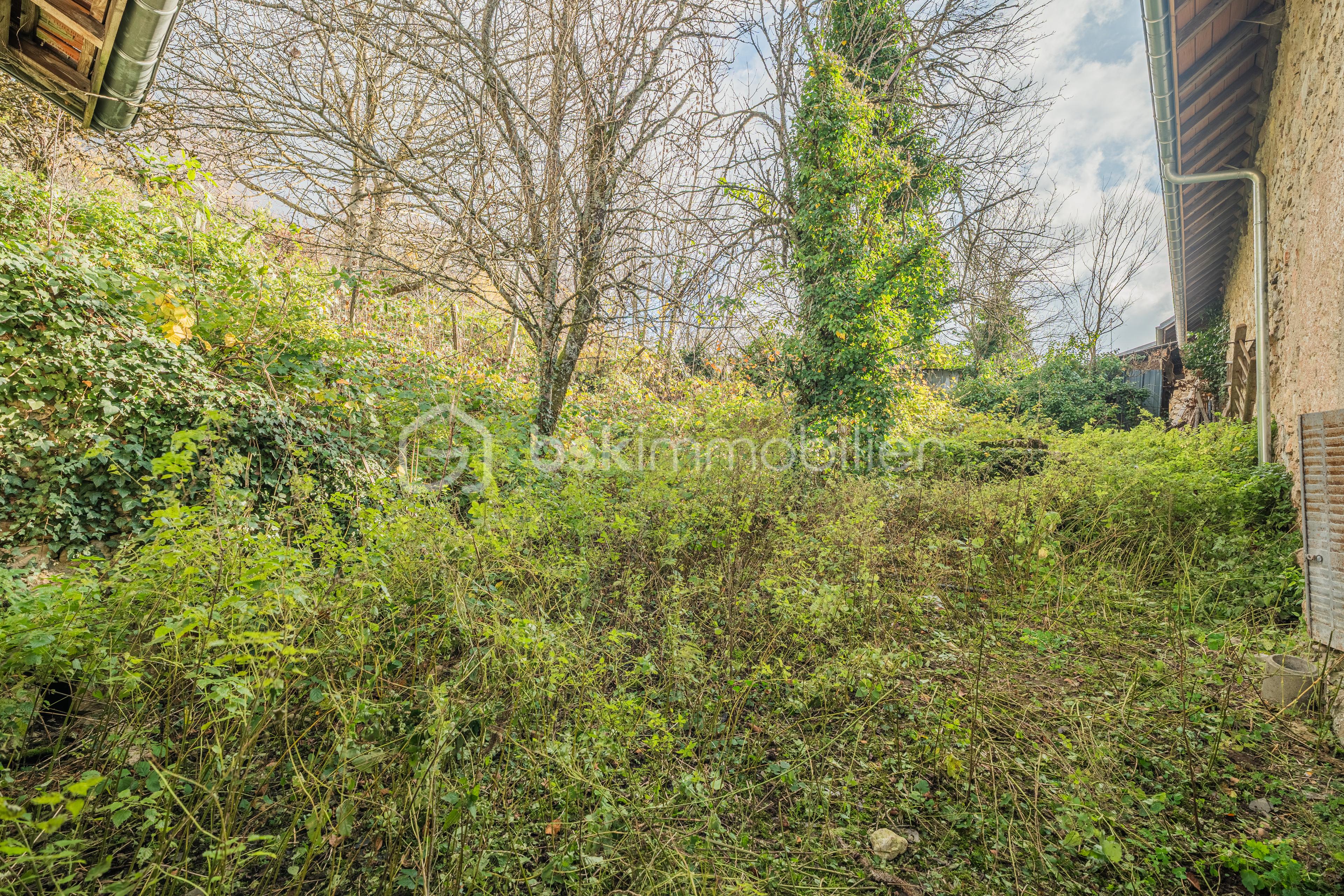 DSC02370-HDR.jpg
