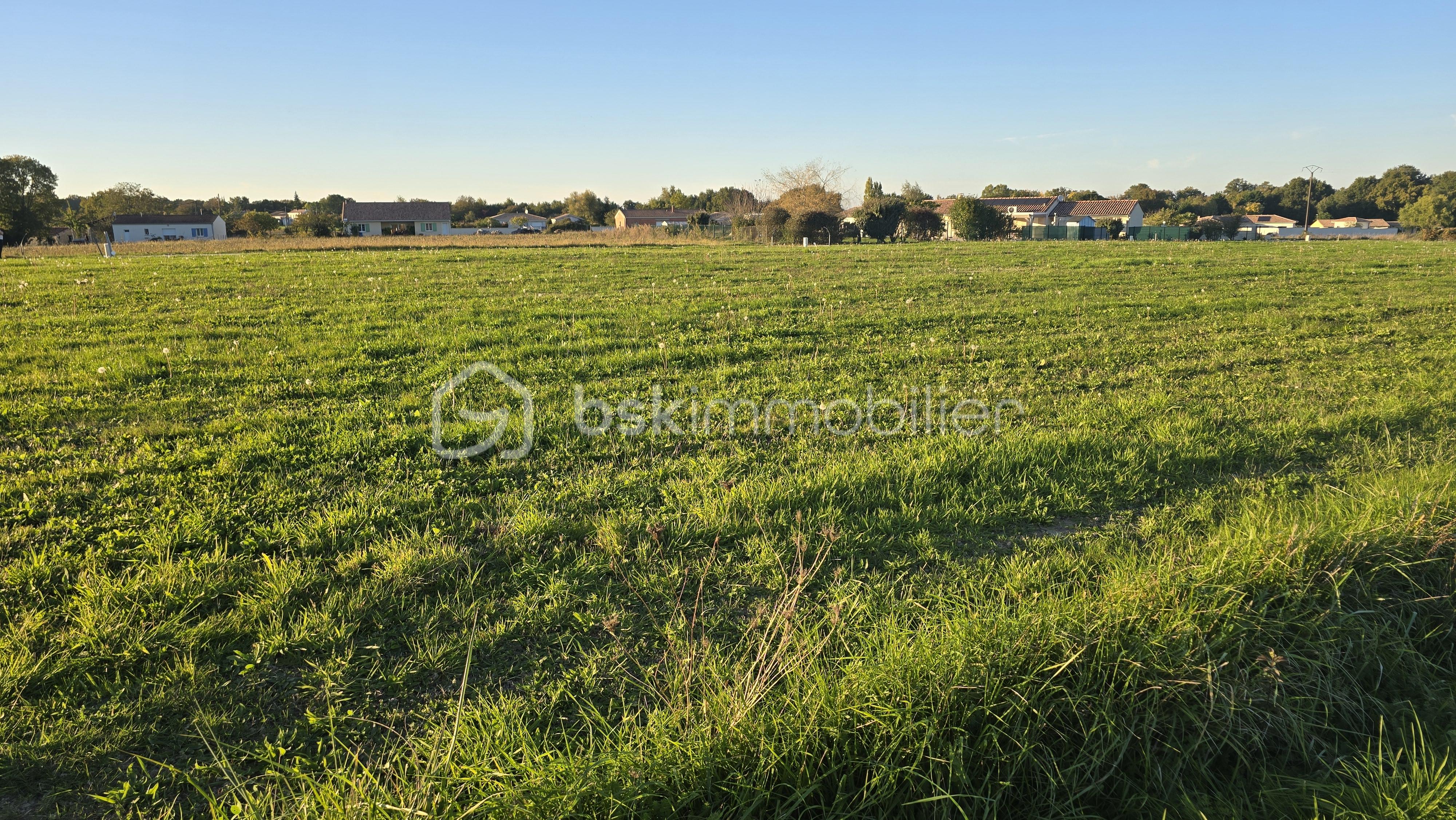Terrain de 1 471 m² - 20251011_183136.jpg
