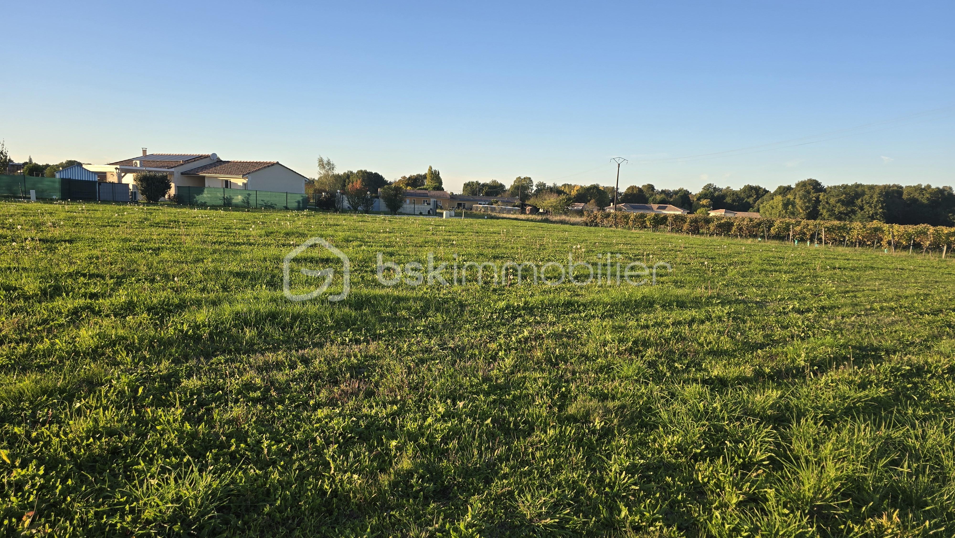 Terrain de 1 471 m² - 20251011_183325.jpg