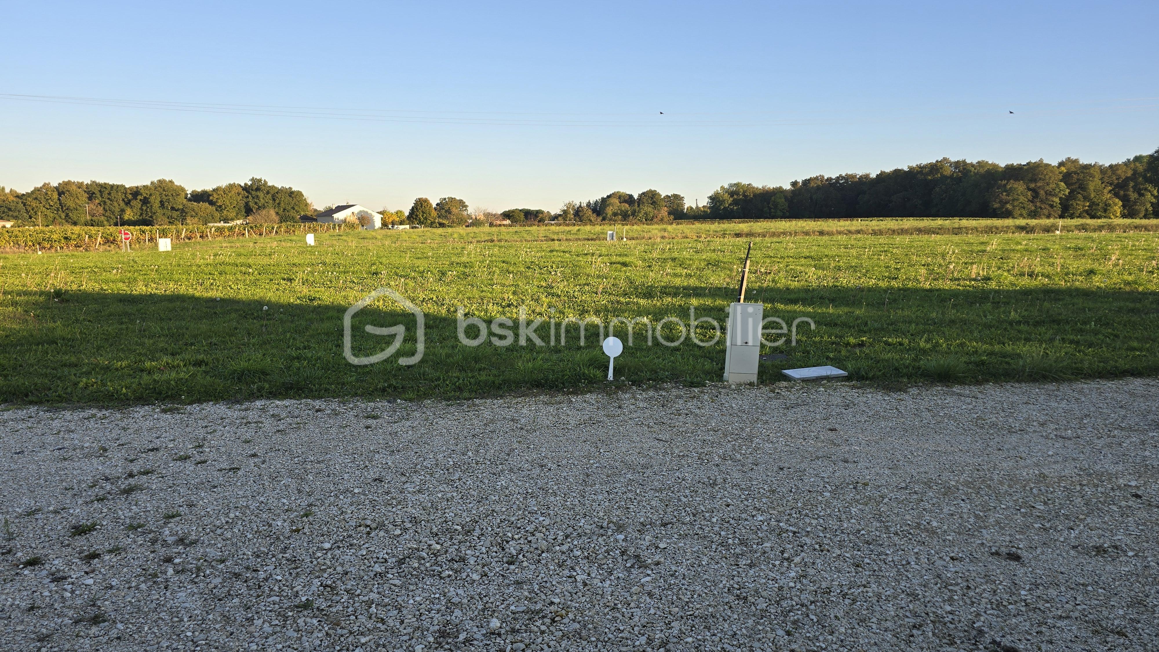 Terrain de 1 471 m² - 20251011_182805.jpg