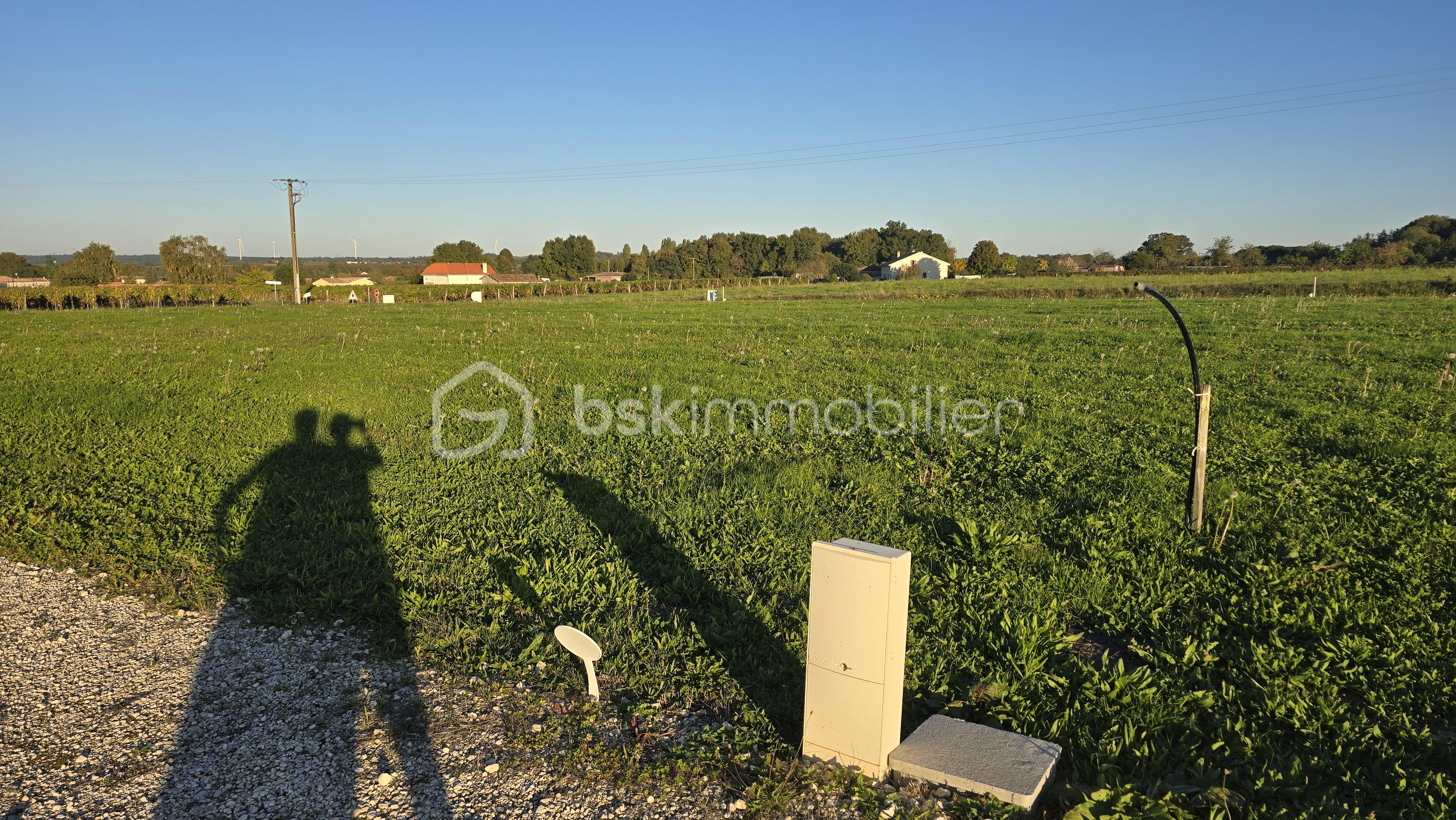 Terrain de 1 471 m² - 20251011_182918.jpg
