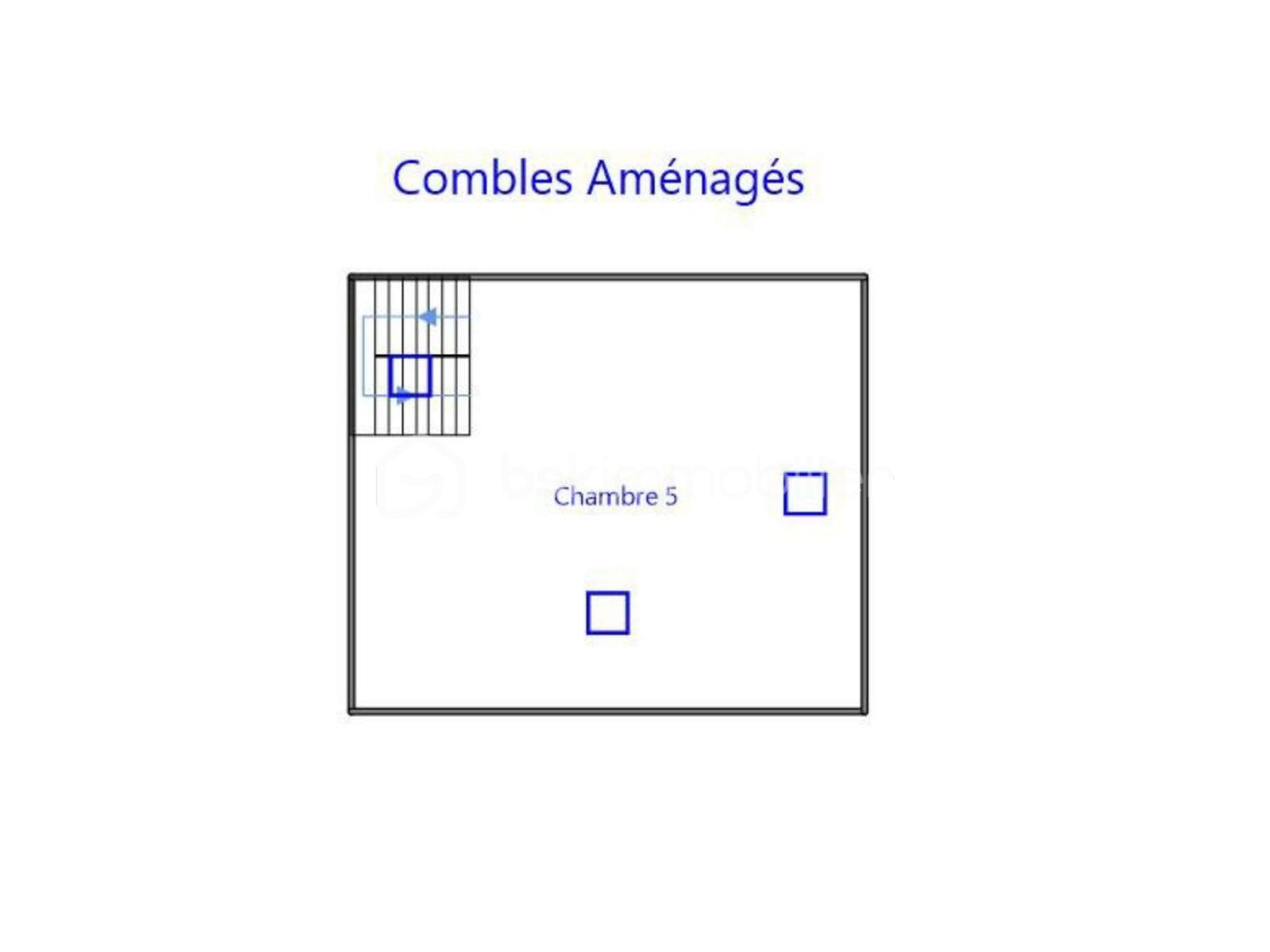 plan_combles_amenages.jpg