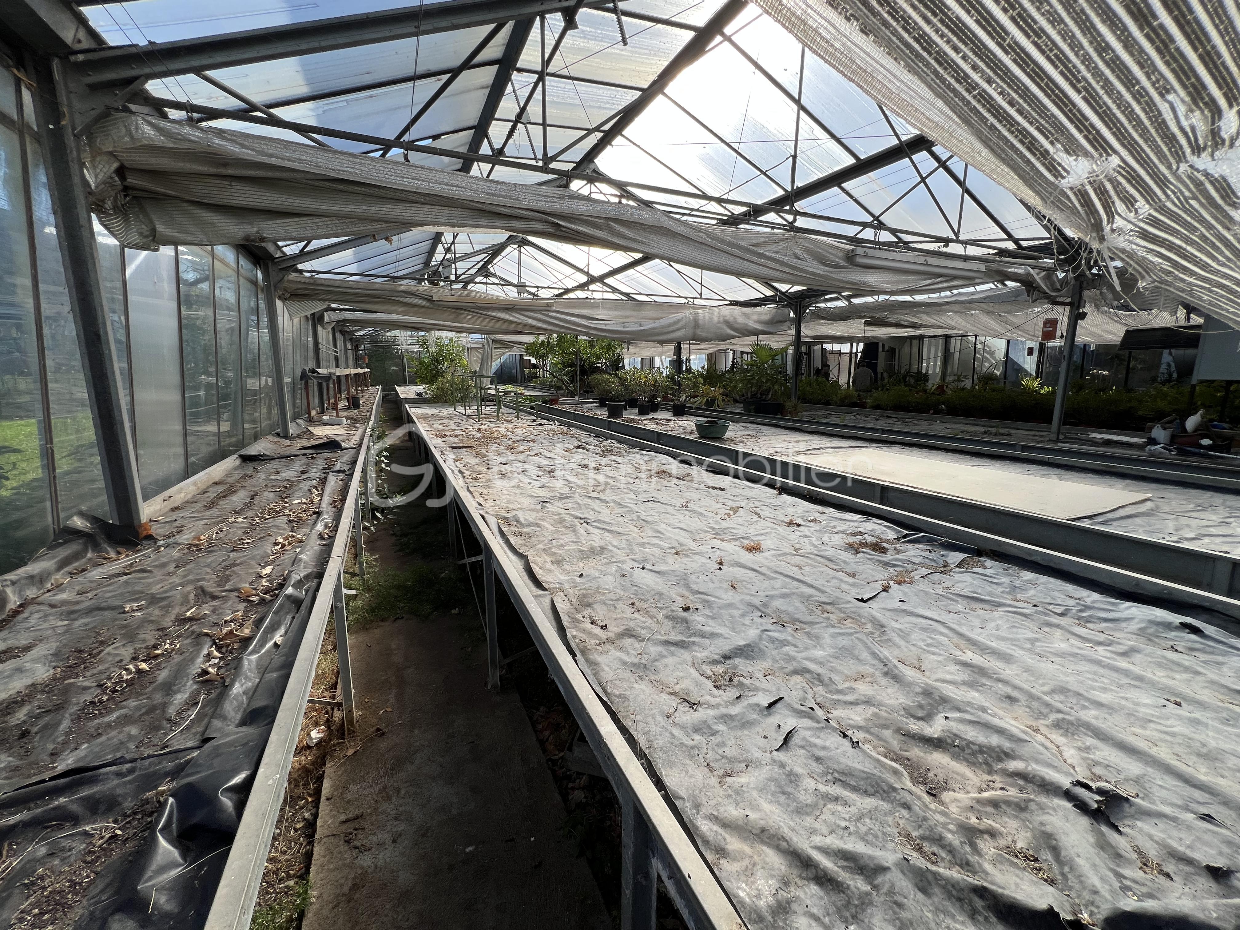 Immeuble de 300 m² - tempImage5xm3Ag.png