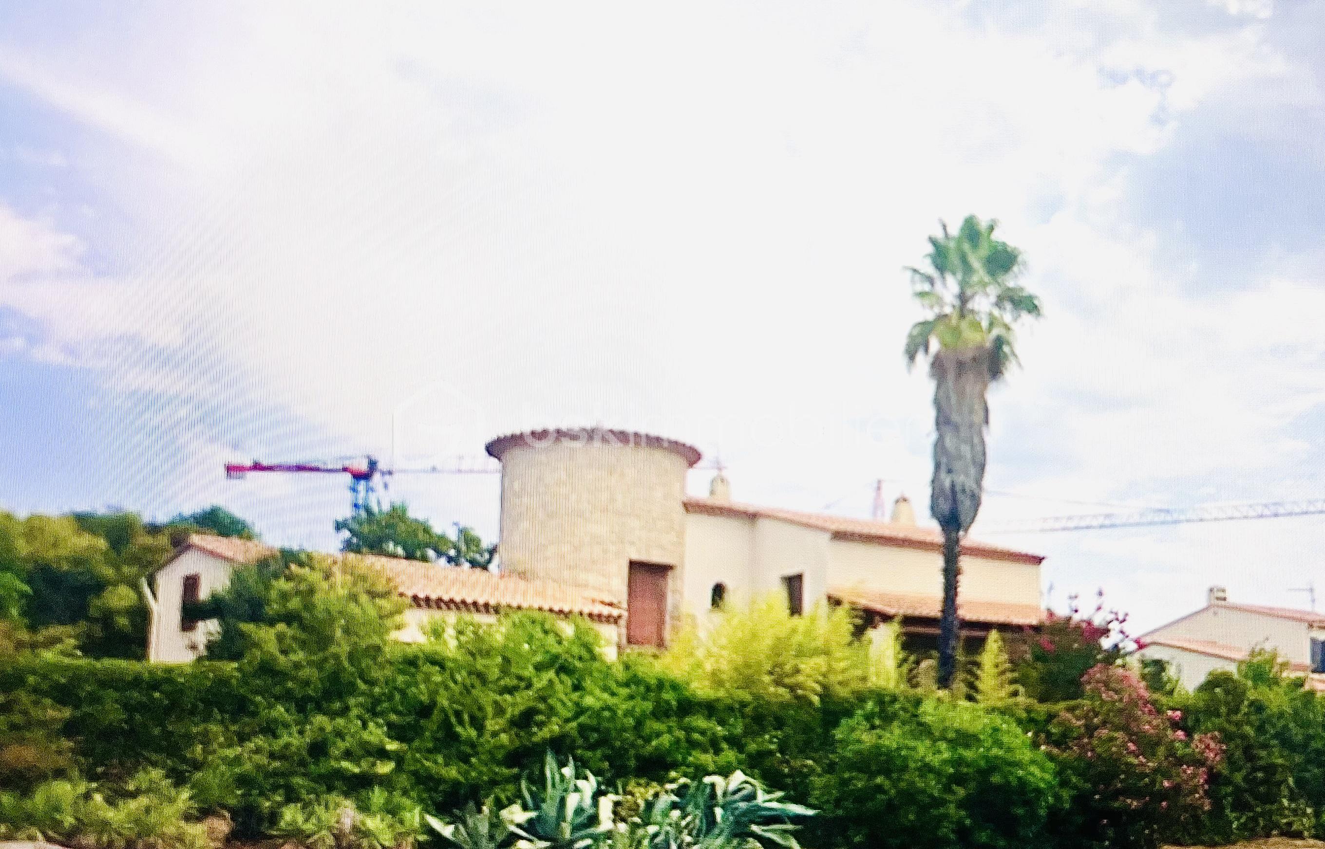 IMG_4325.jpeg