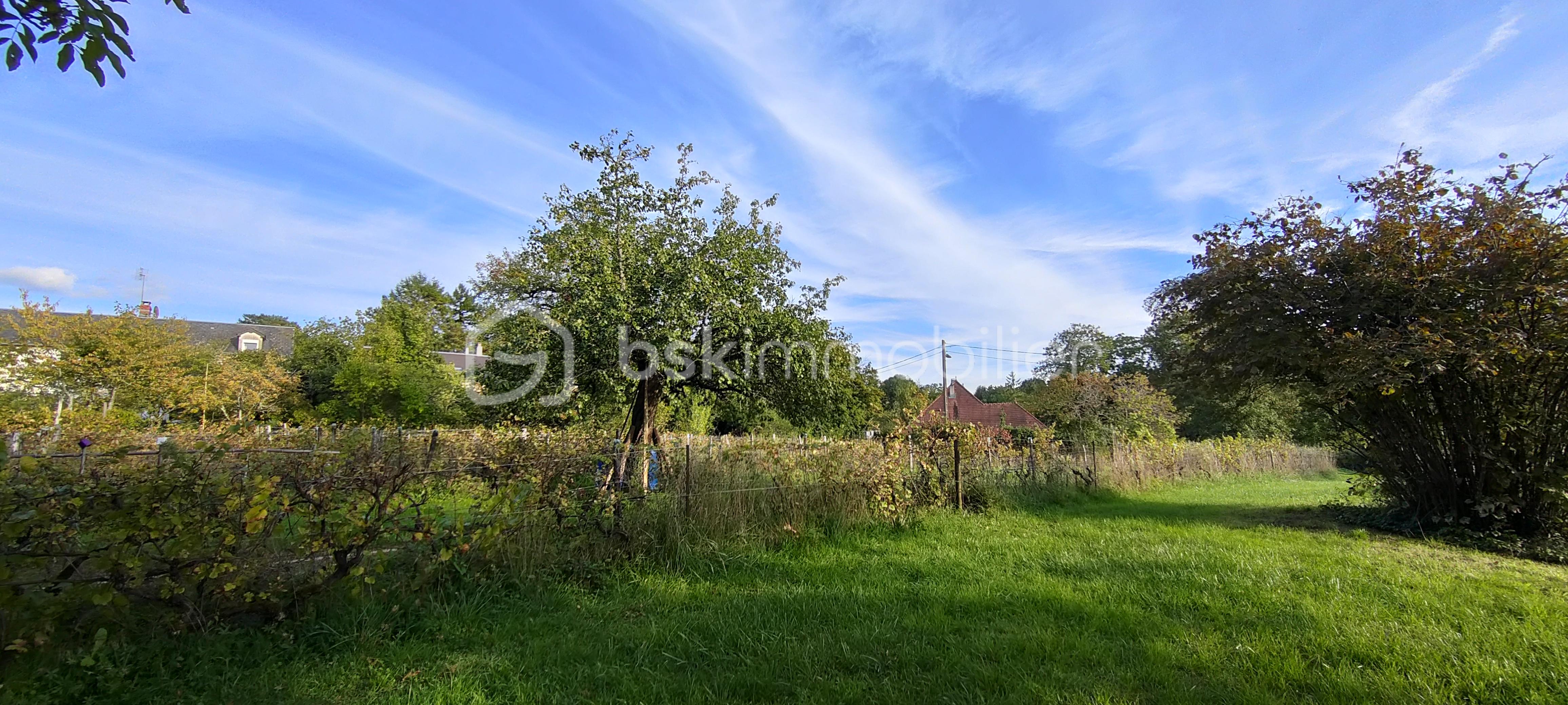Terrain de 3 149 m² - IMG20251001175934_20251001184708.jpg