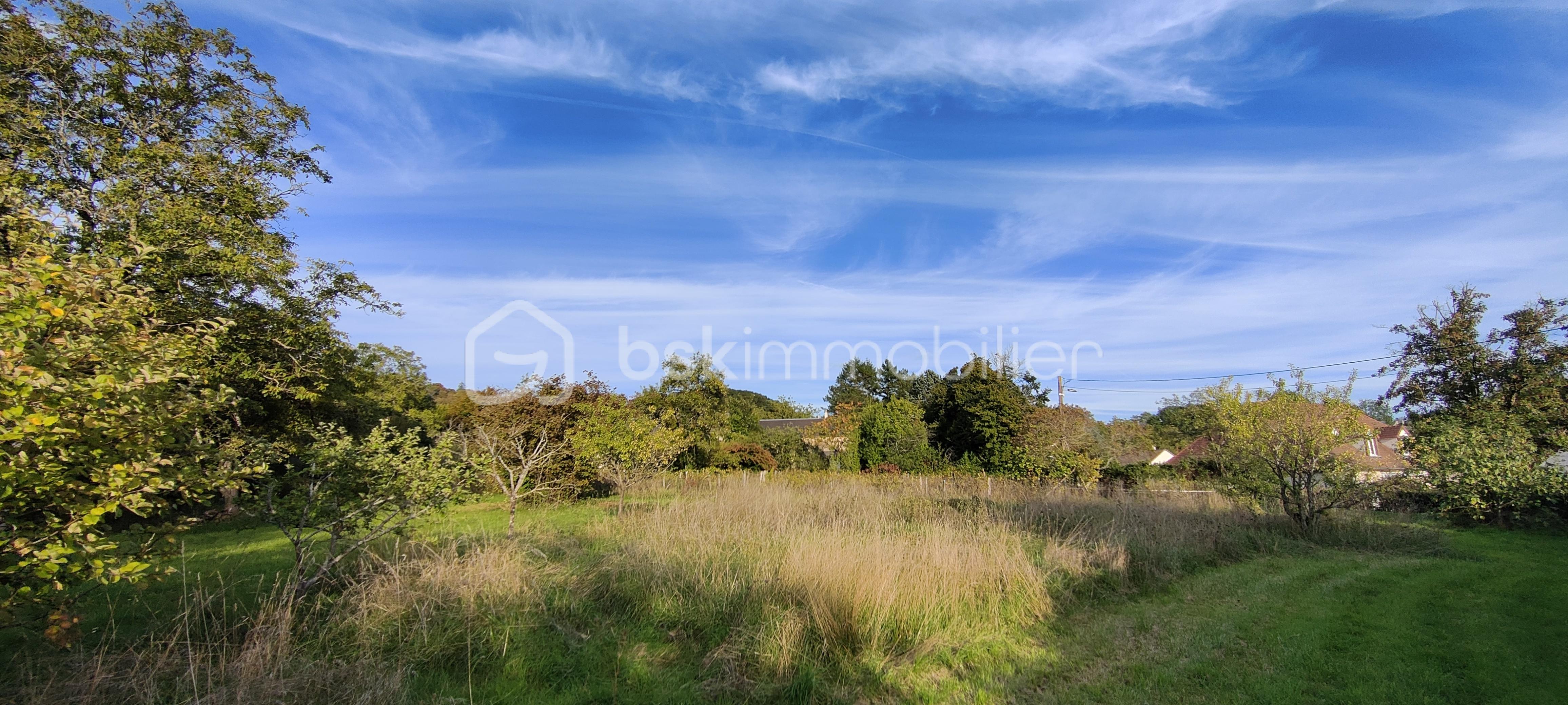 Terrain de 3 149 m² - IMG20251001180338_20251001184706.jpg