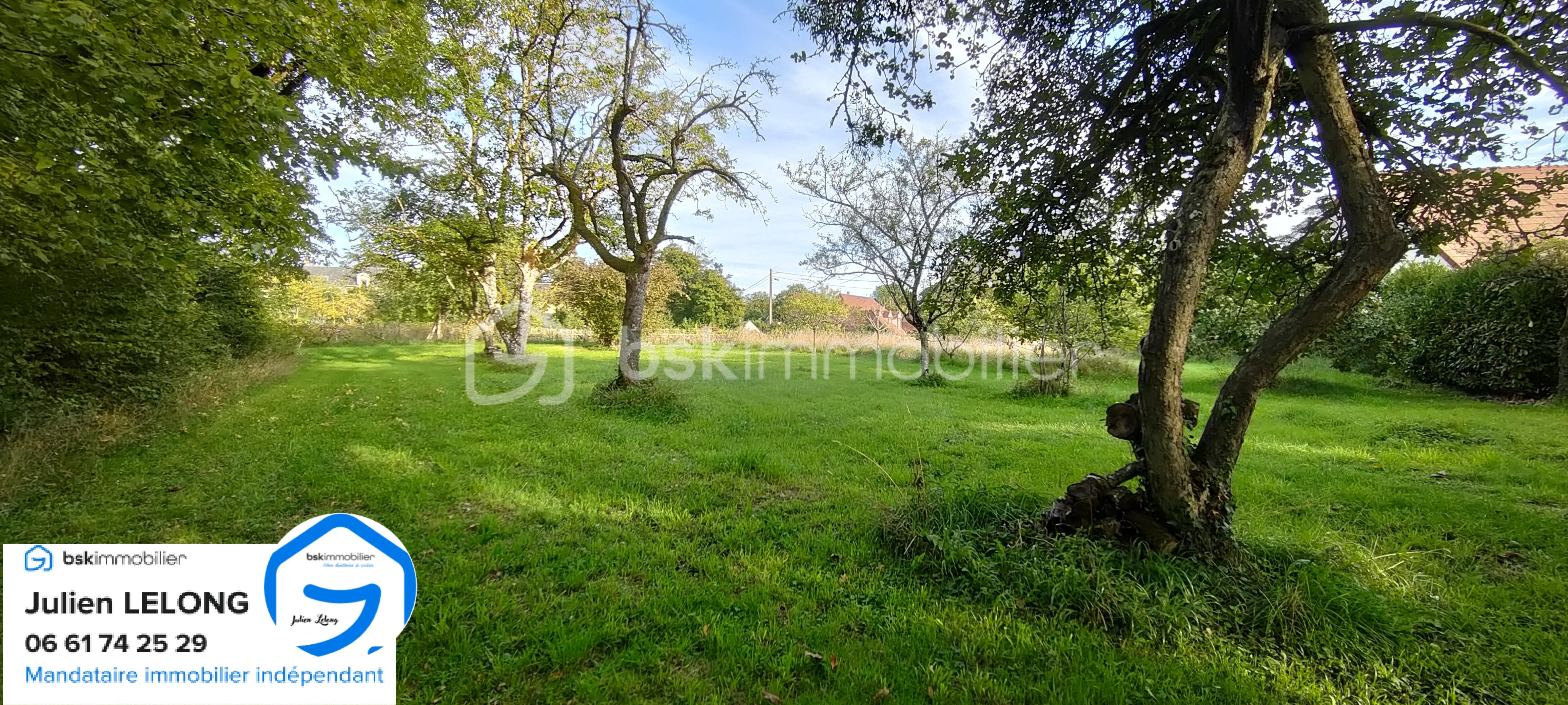 Terrain de 3 149 m² - IMG20251001180038_20251001184708.jpg
