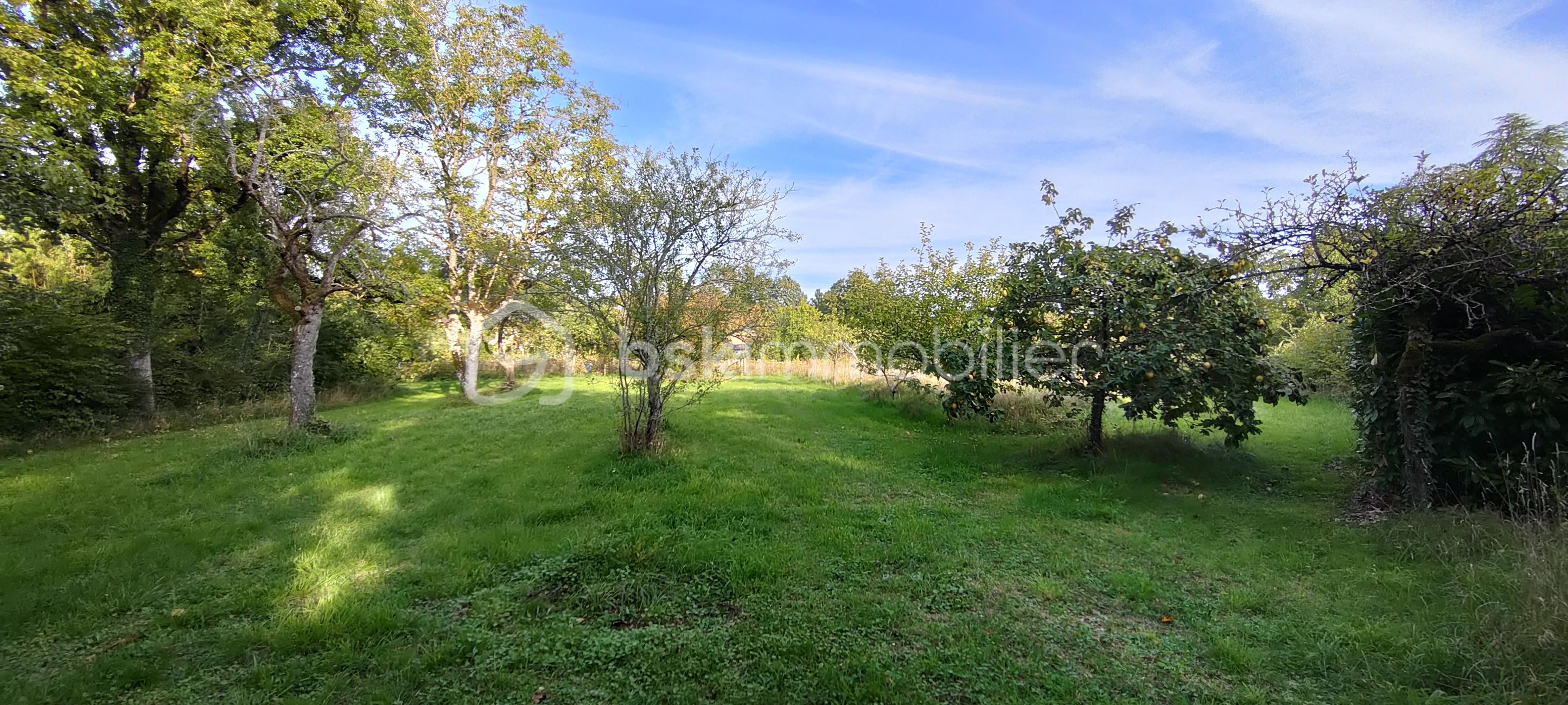Terrain de 3 149 m² - IMG20251001180057_20251001184706.jpg