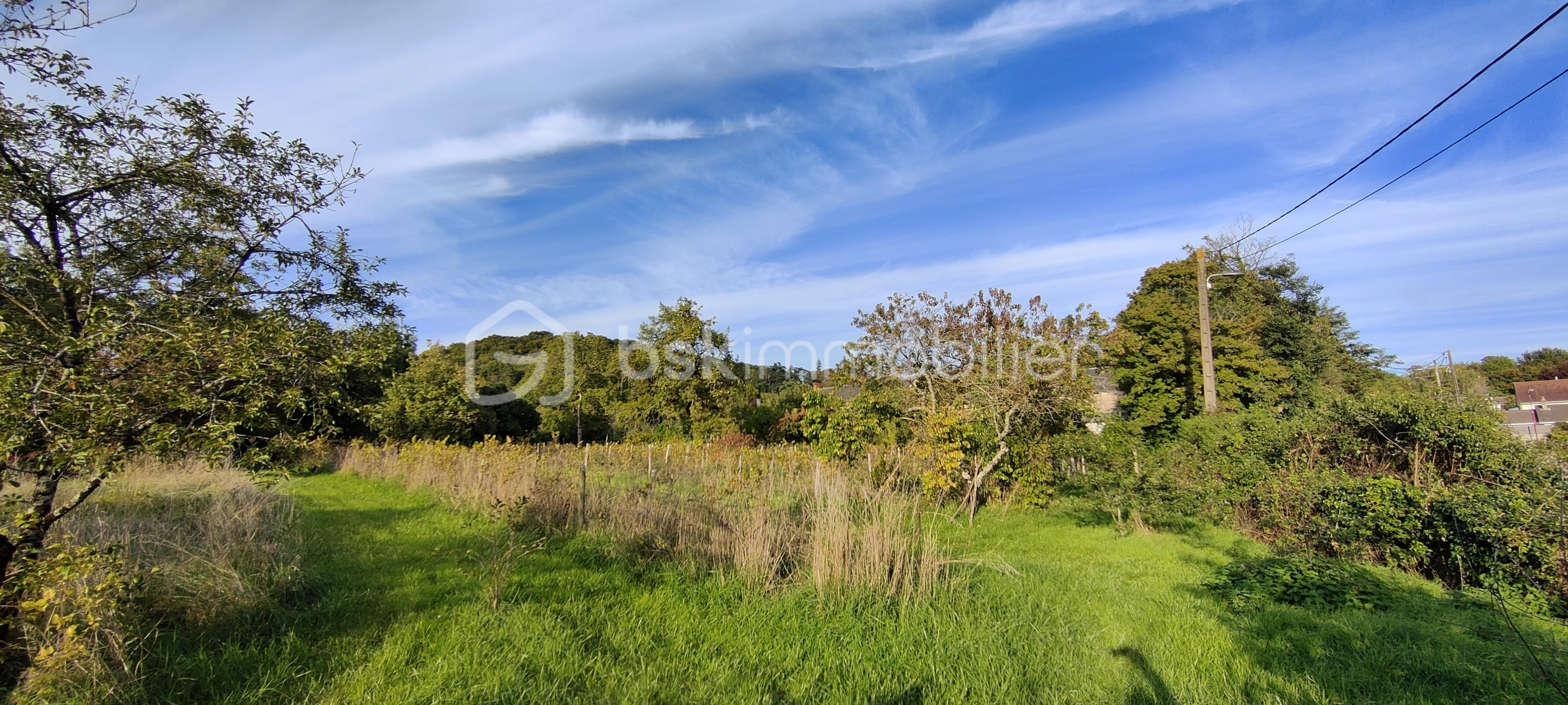 Terrain de 3 149 m² - IMG20251001180519_20251001184706.jpg