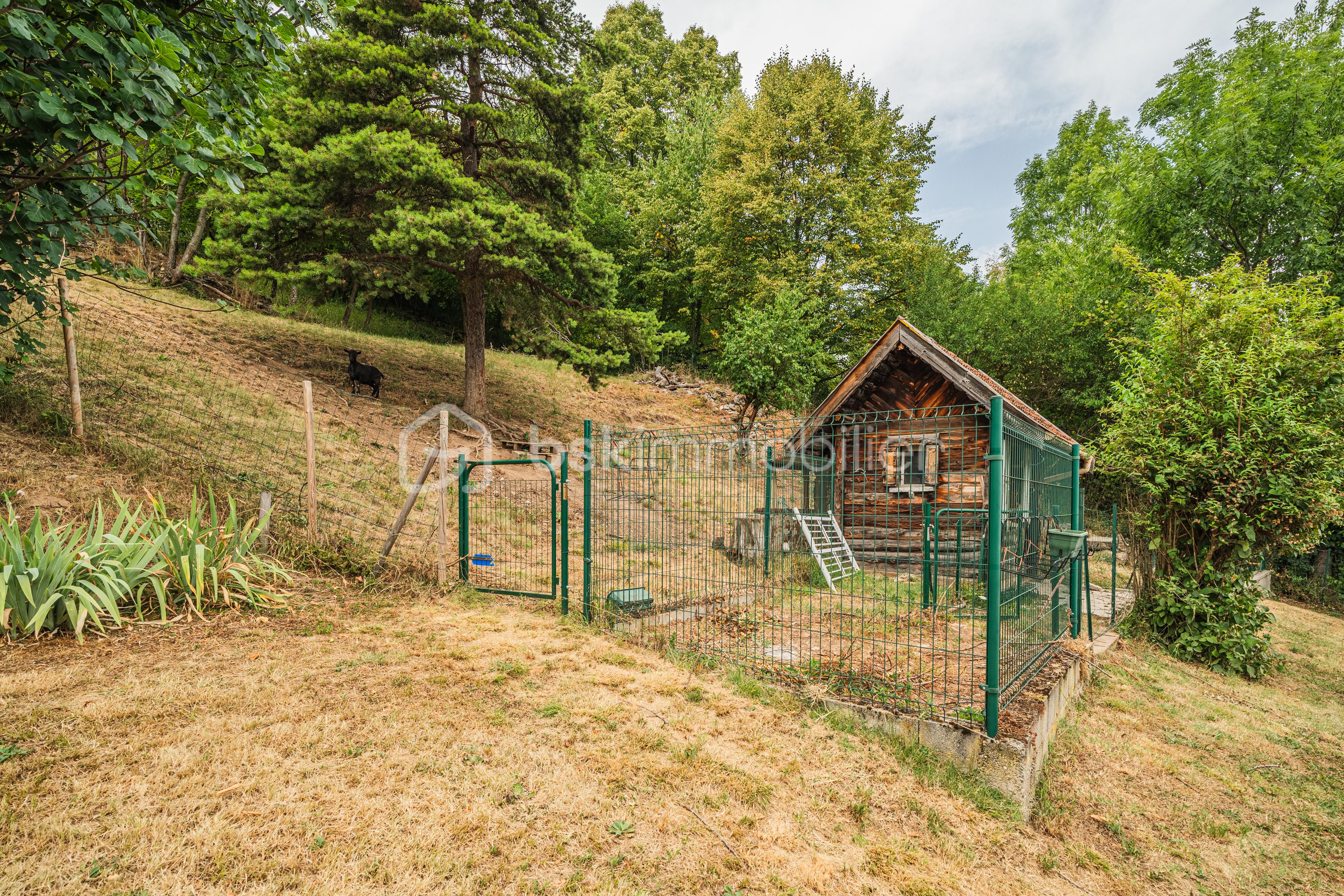 DSC03517-HDR.jpg