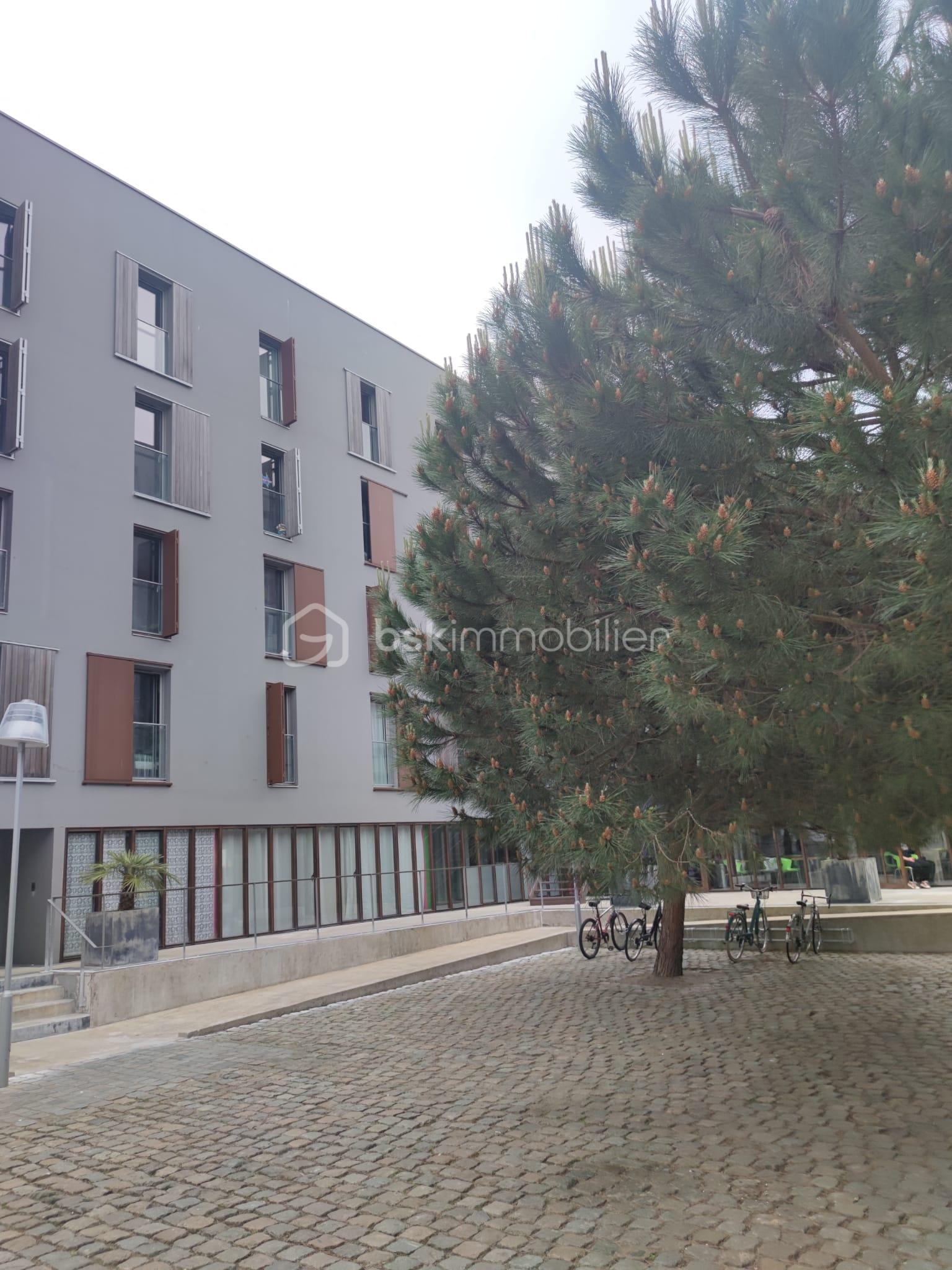 Appartement de 29 m² - PHOTO-2023-05-23-18-34-05.jpg