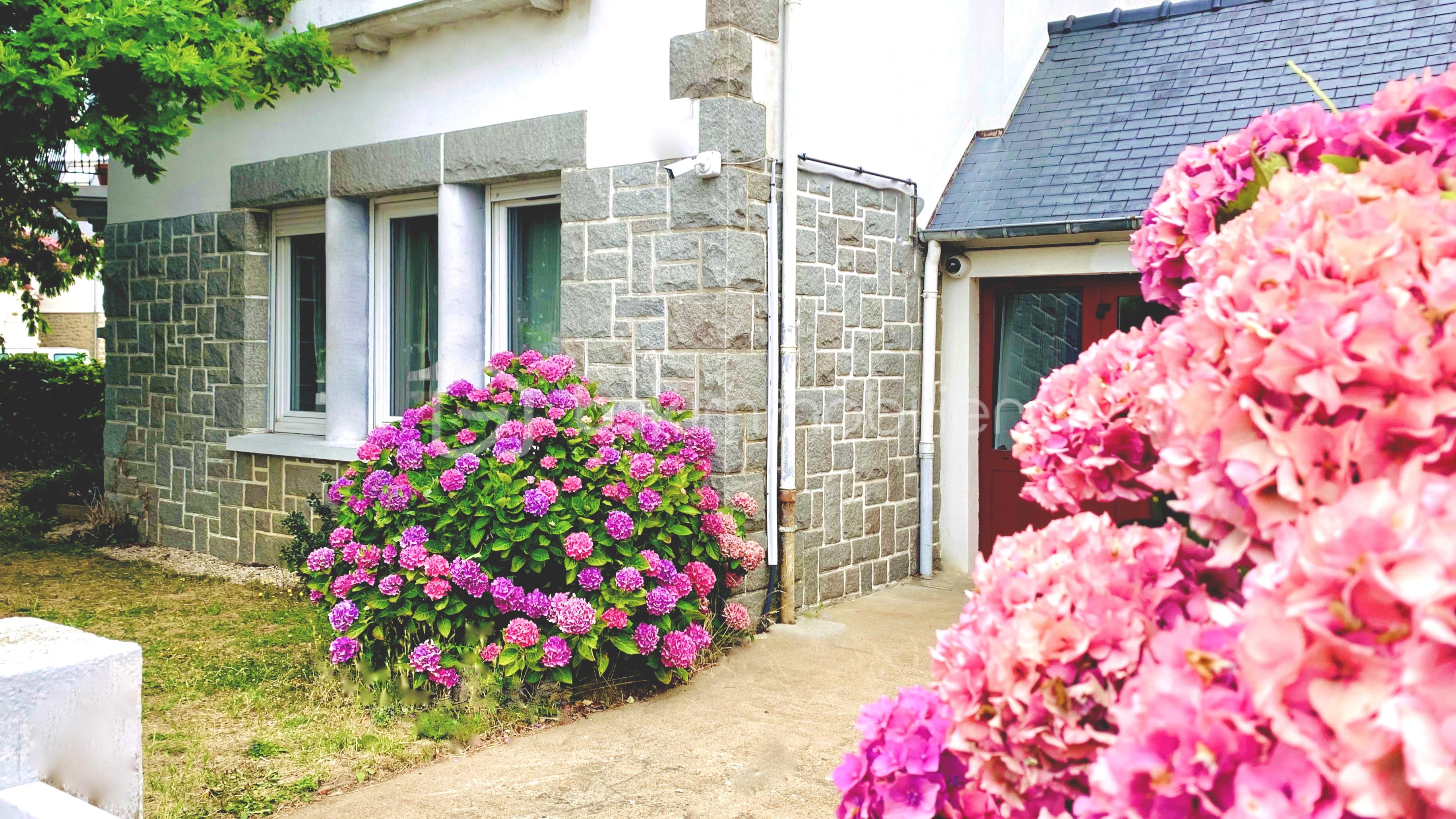 Maison de 241 m² - 16.9.jpeg