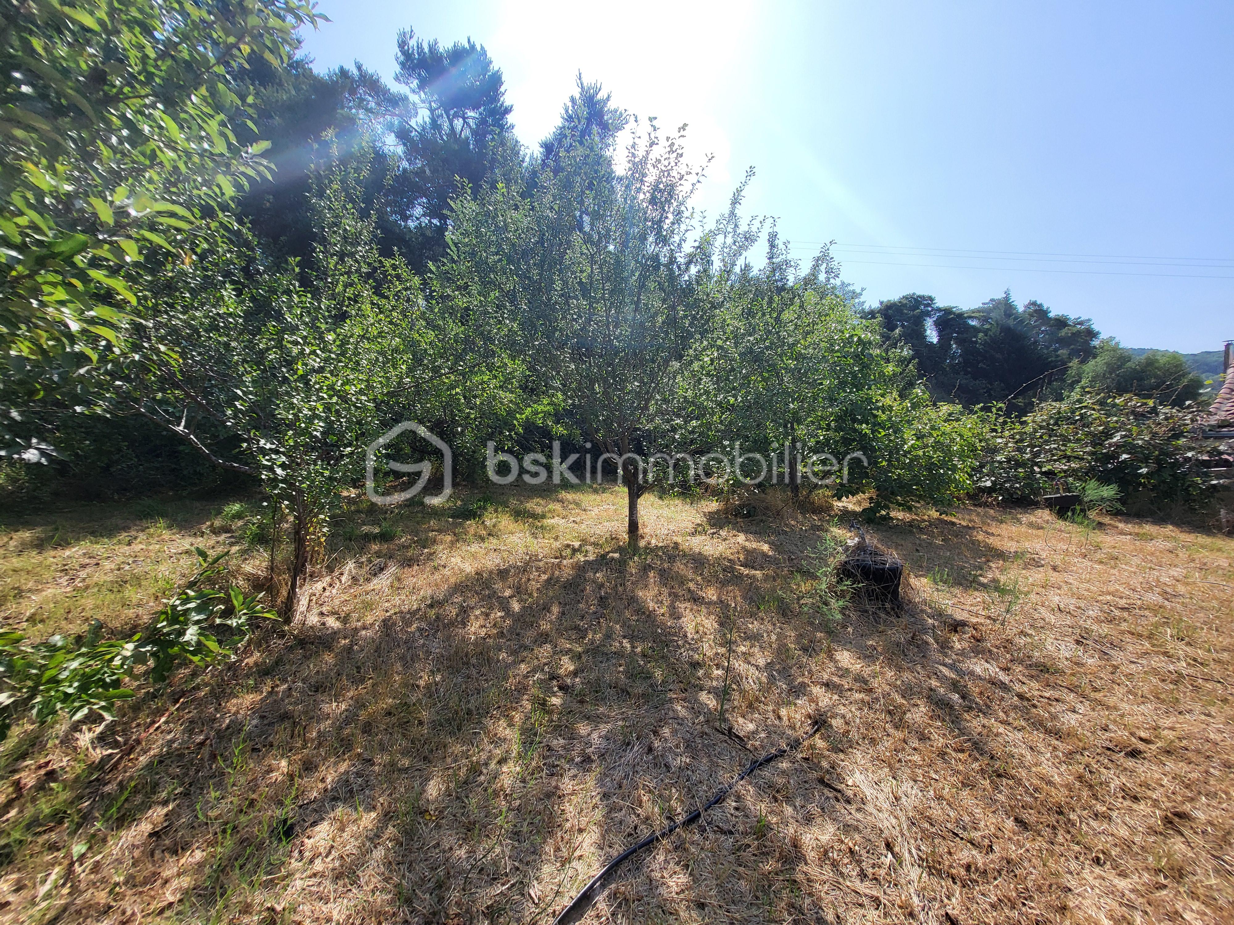 Corps de ferme de 269 m² - 20250703_104711.jpg