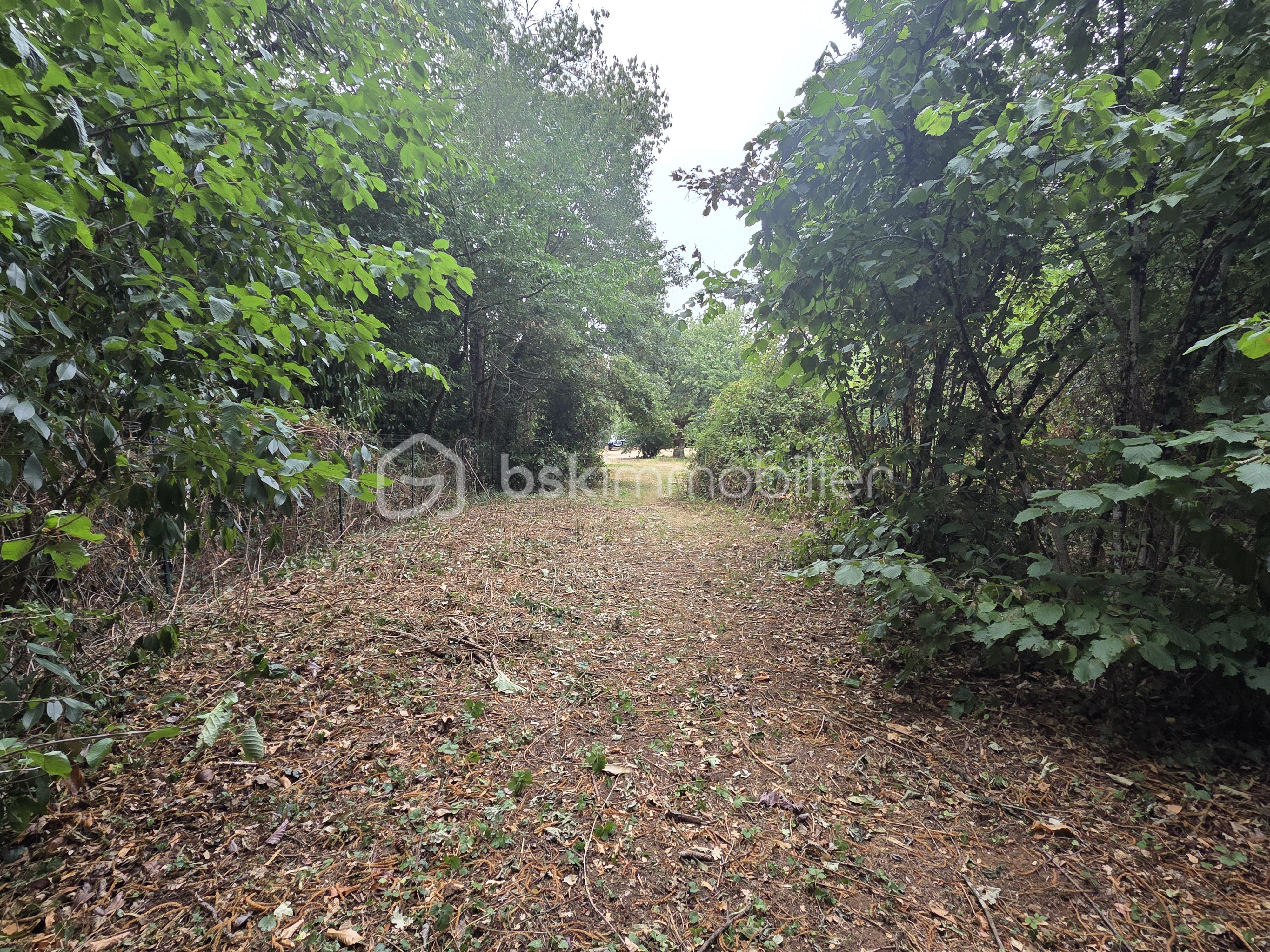 JARDIN 5.jpg