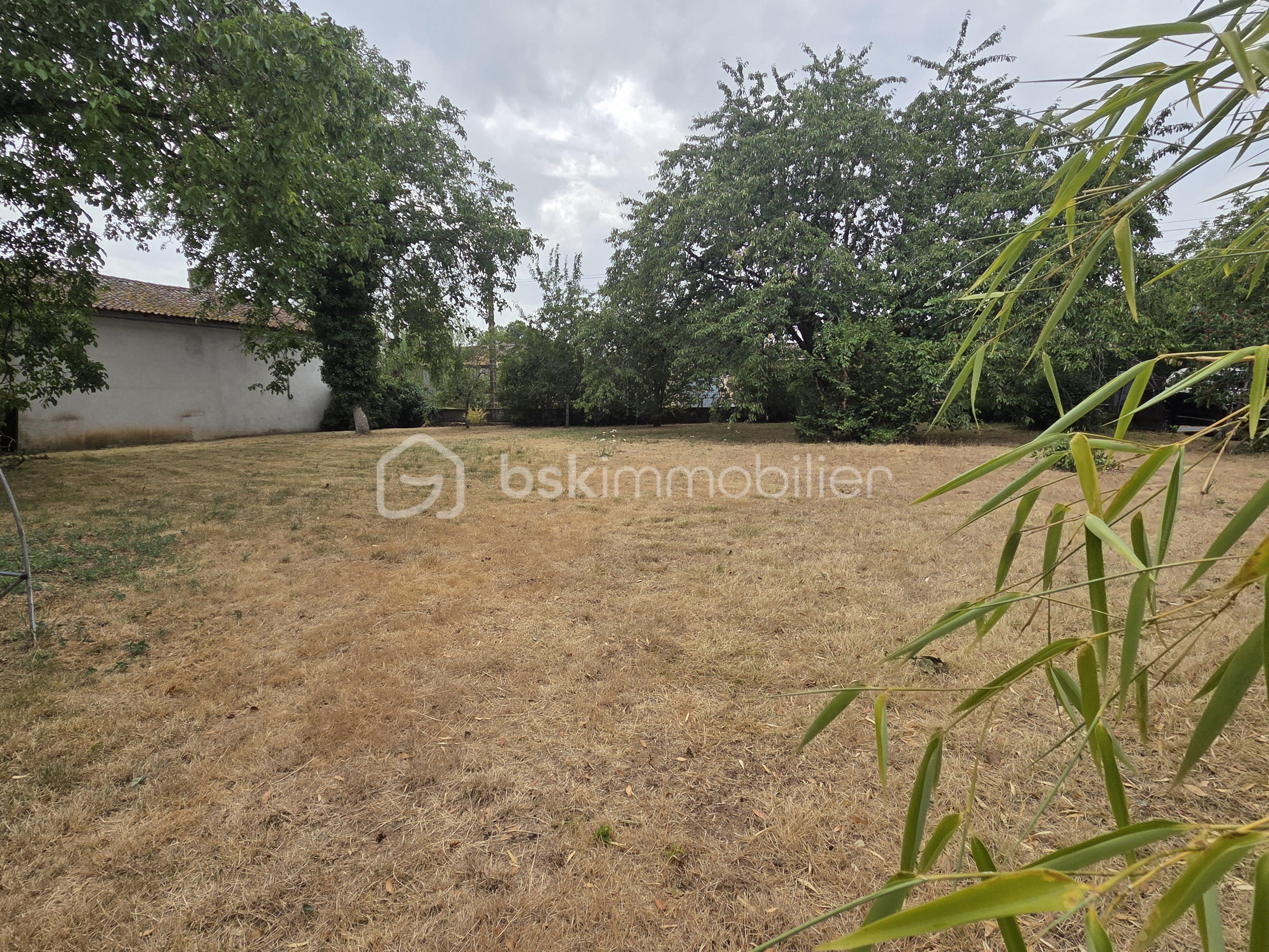 JARDIN 10.jpg