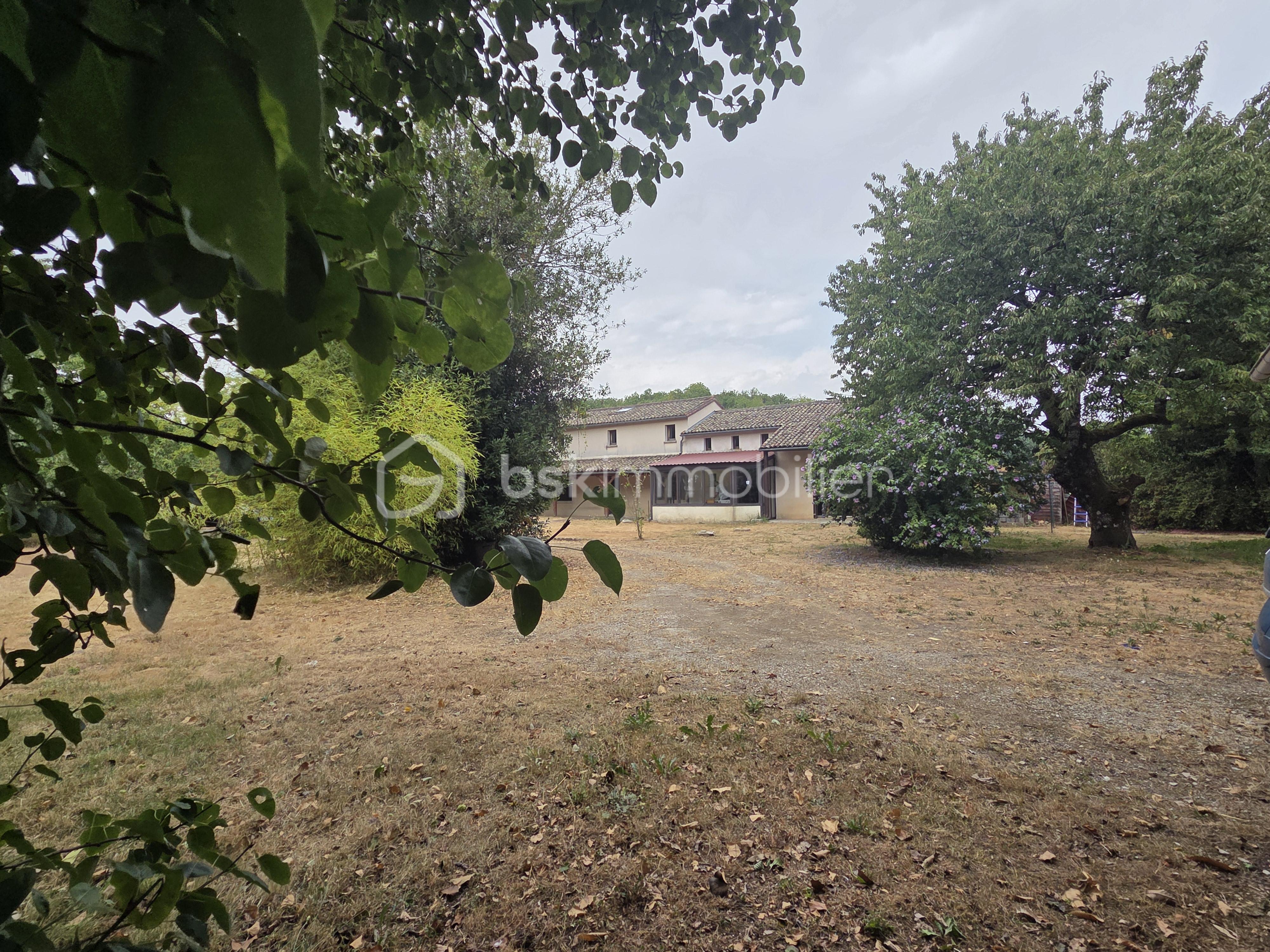 JARDIN 8.jpg