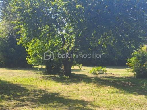 JARDIN 21.jpg