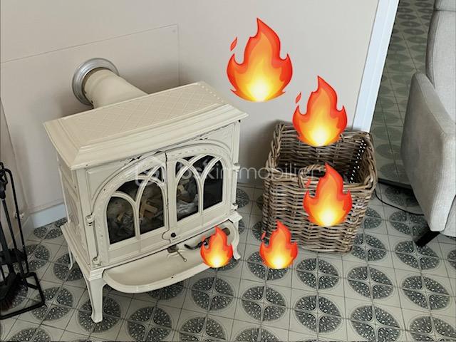 bergeronnettes POELE.jpeg