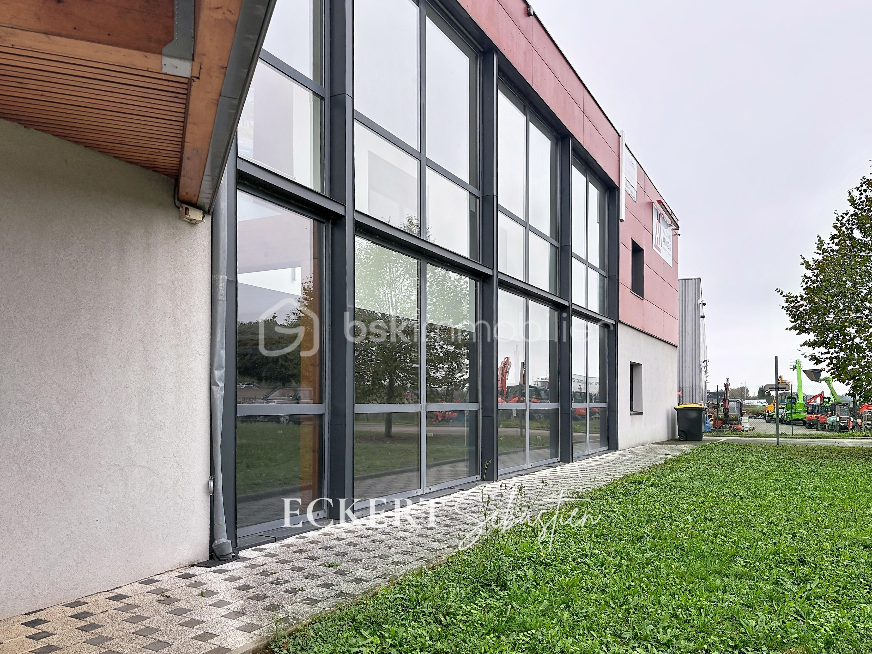 Immobilier_location_Eckert_Local_pro_Rixheim_00001.jpg