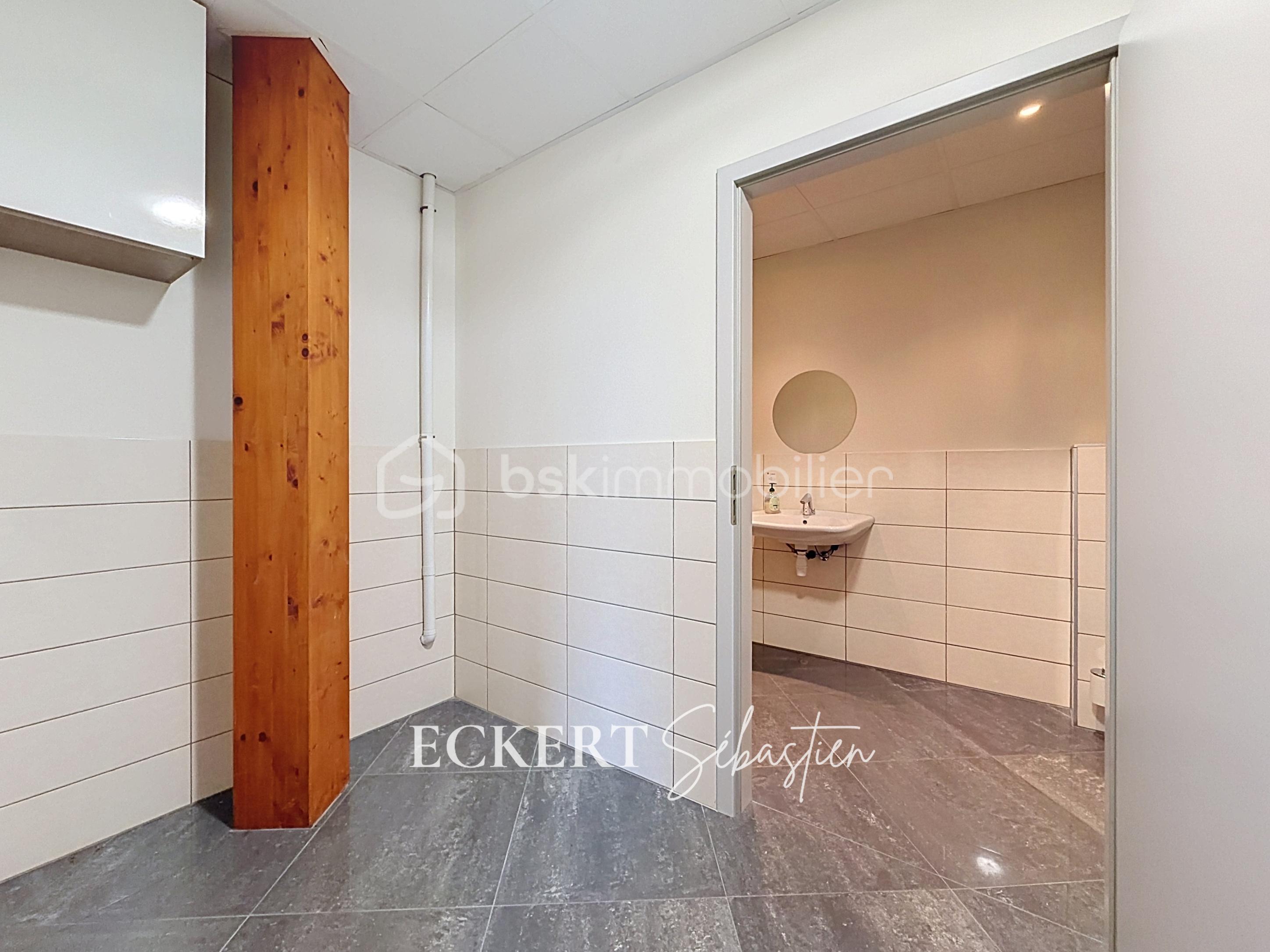 Immobilier_location_Eckert_Local_pro_Rixheim_ (6).jpg