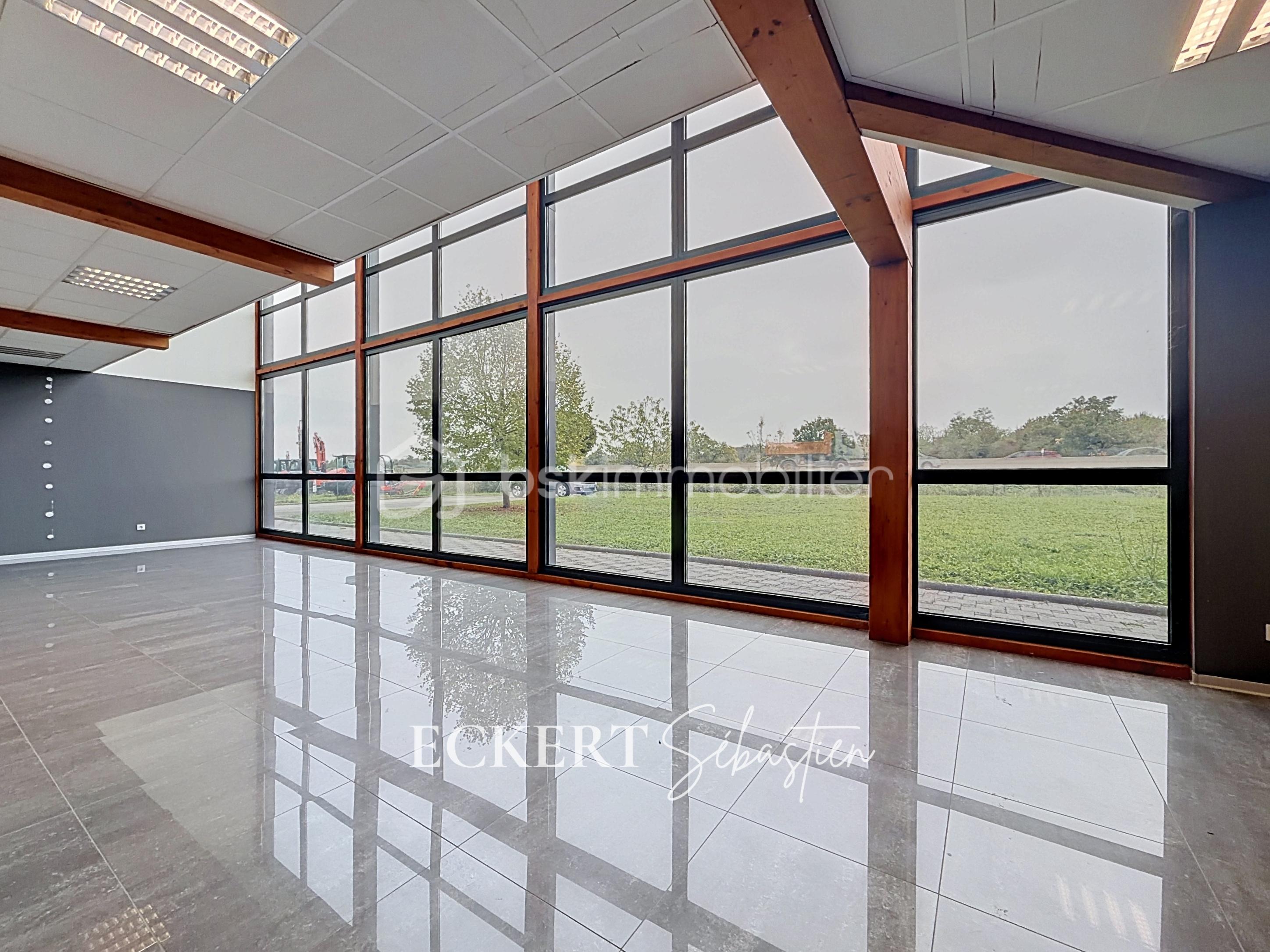 Immobilier_location_Eckert_Local_pro_Rixheim_ (1).jpg