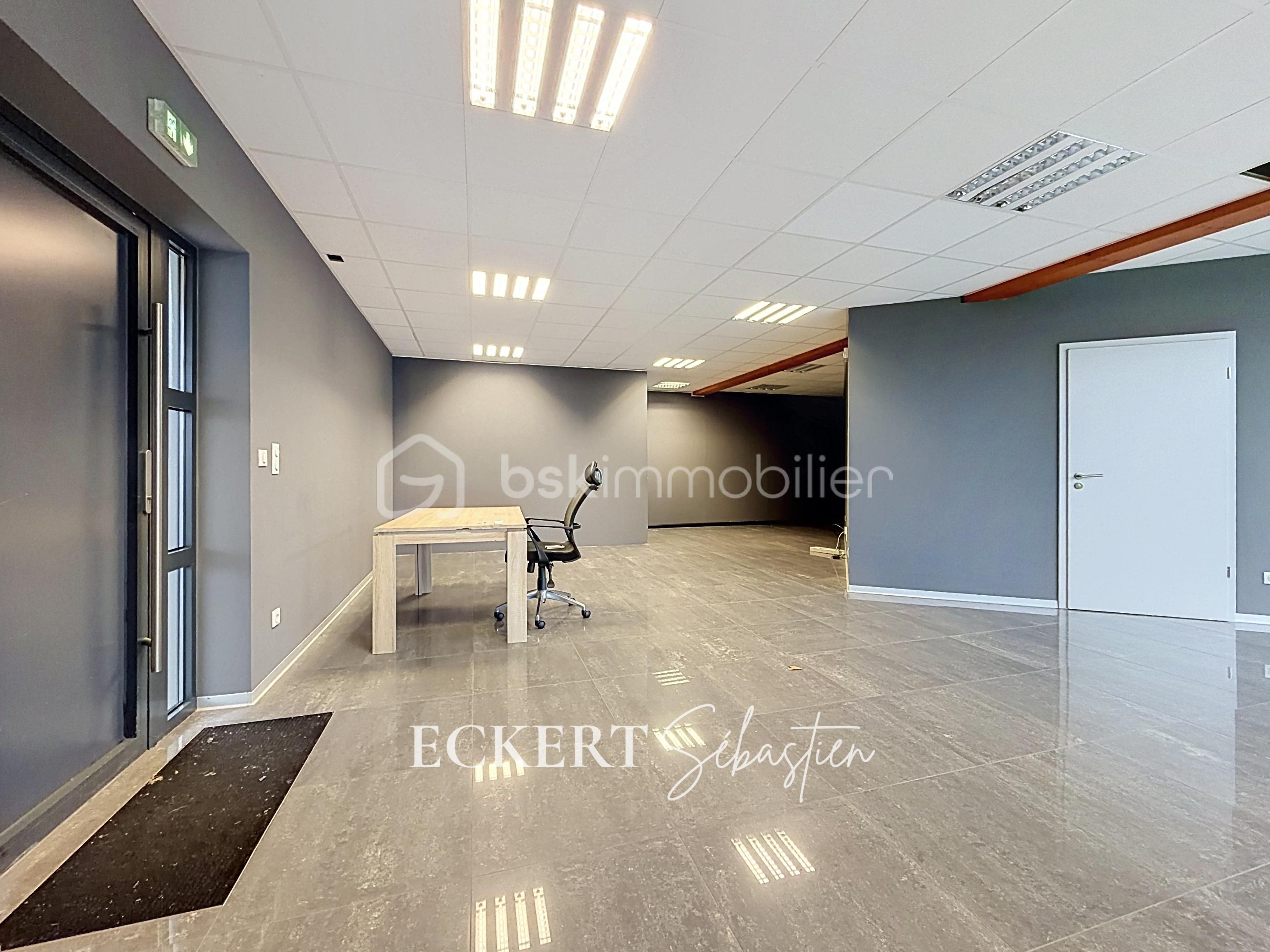 Immobilier_location_Eckert_Local_pro_Rixheim_ (7).jpg