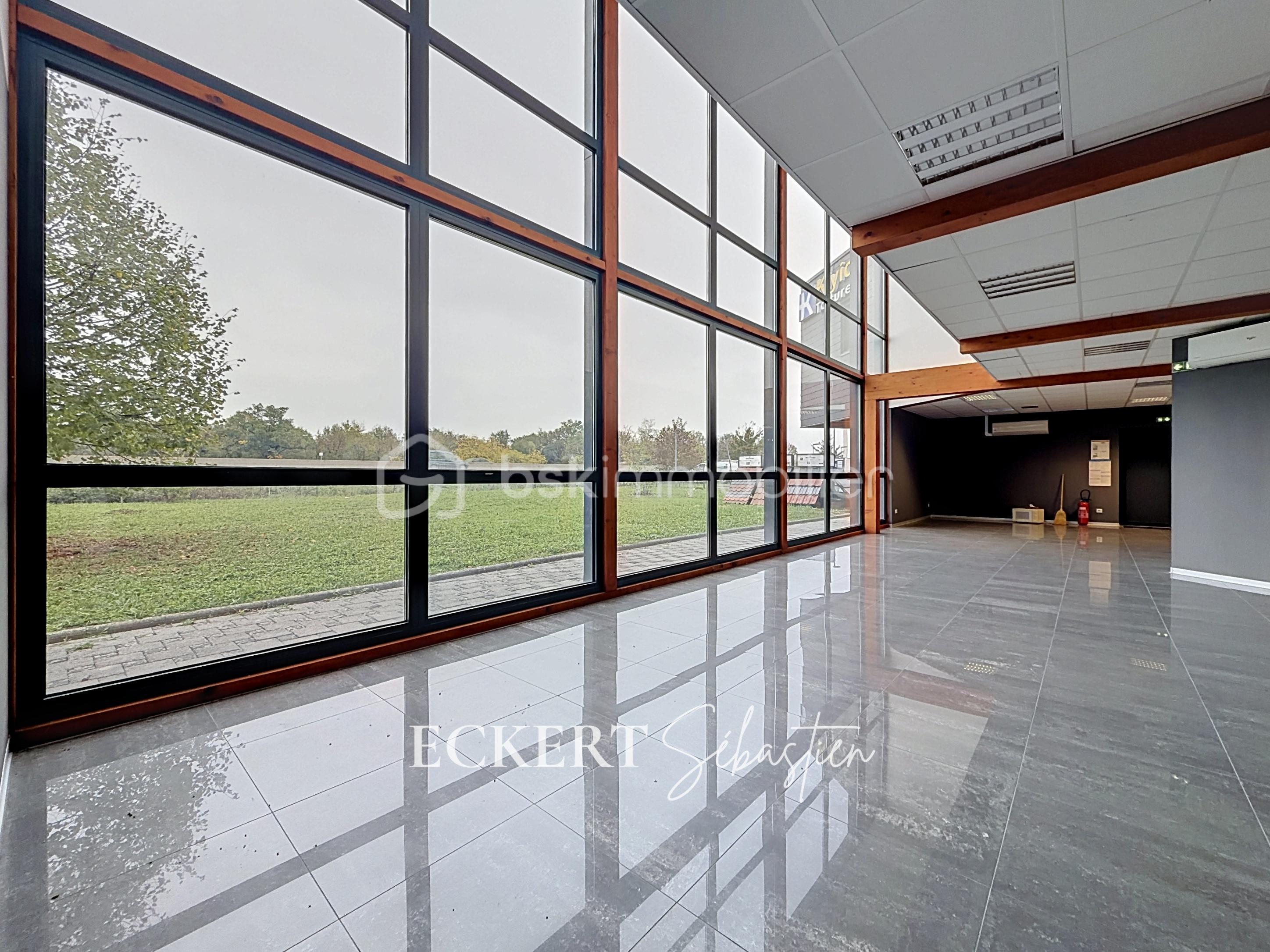 Immobilier_location_Eckert_Local_pro_Rixheim_ (5).jpg