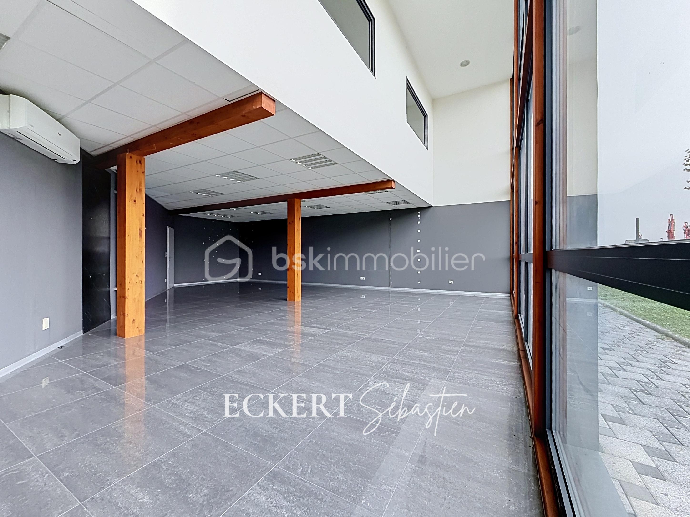 Immobilier_location_Eckert_Local_pro_Rixheim_ (2).jpg